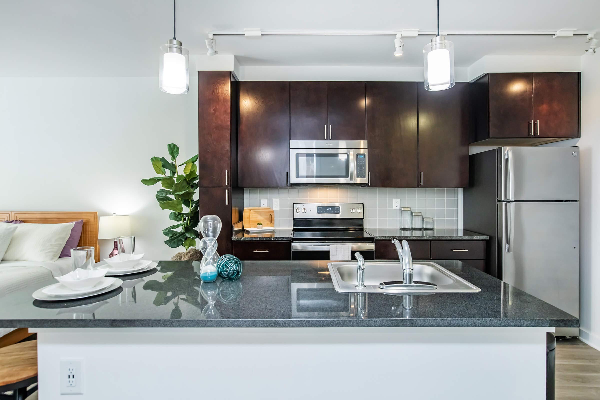 A modern kitchen with dark wood cabinets, stainless steel appliances, and a granite countertop. The kitchen features a double sink and a decorative arrangement of dishes on the counter. There's a small indoor plant and dining area visible in the background, creating a stylish and inviting atmosphere.