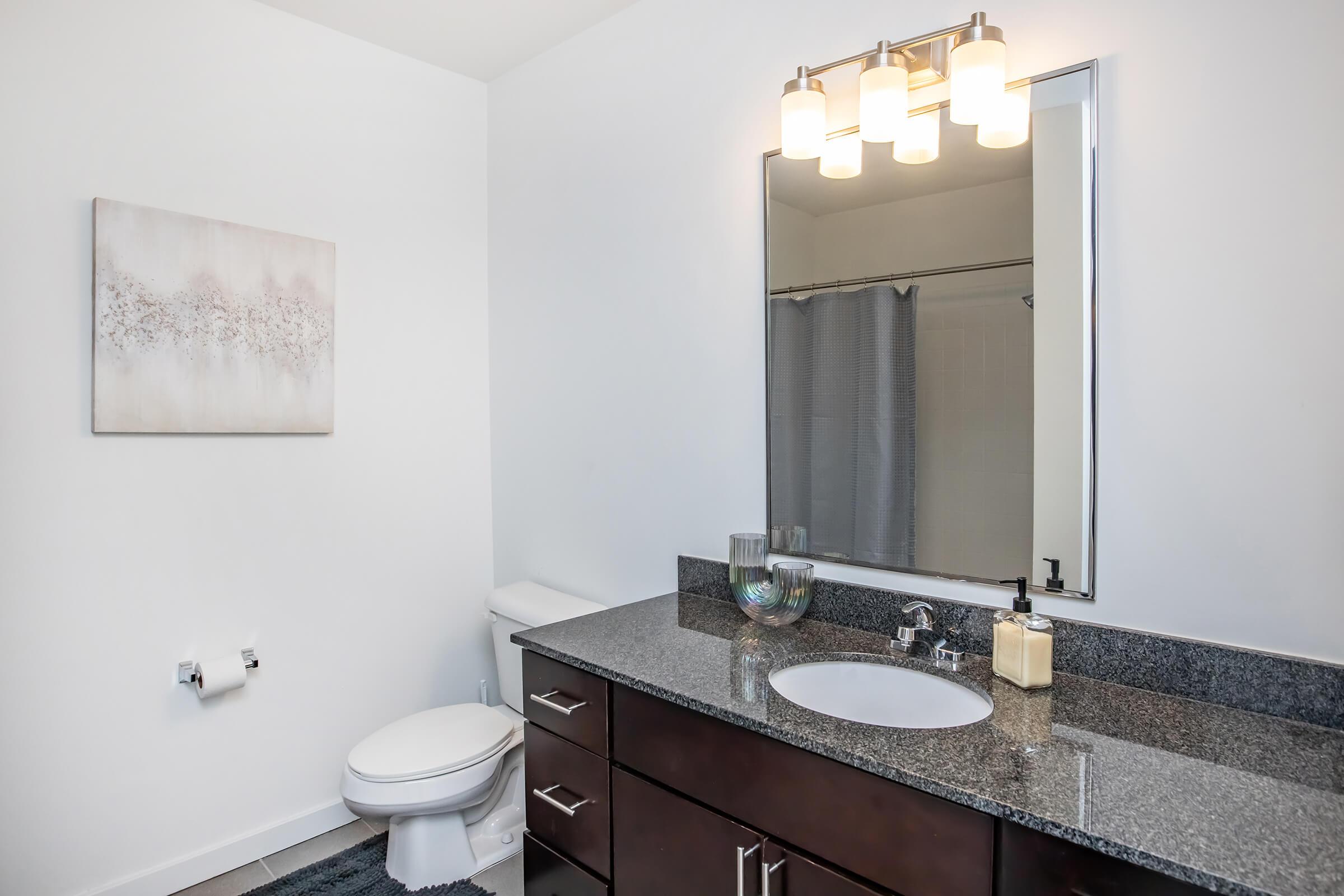 A modern bathroom featuring a dark granite countertop, a mirror with four light fixtures above, and a decorative wall art piece. There’s a white toilet, a shower curtain in the background, and a few decorative items on the countertop, creating a sleek and elegant design.