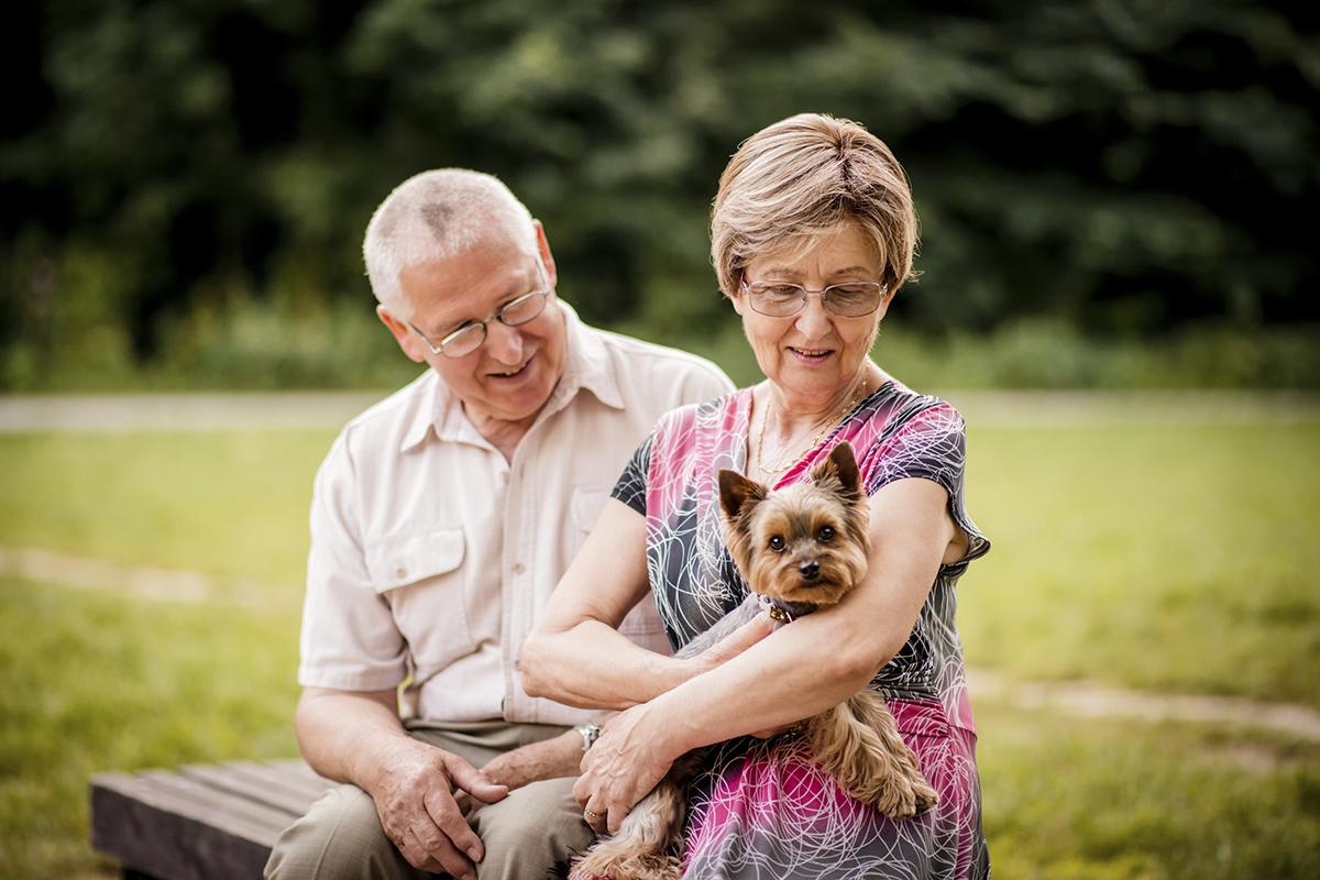 a person sitting on a bench with a dog