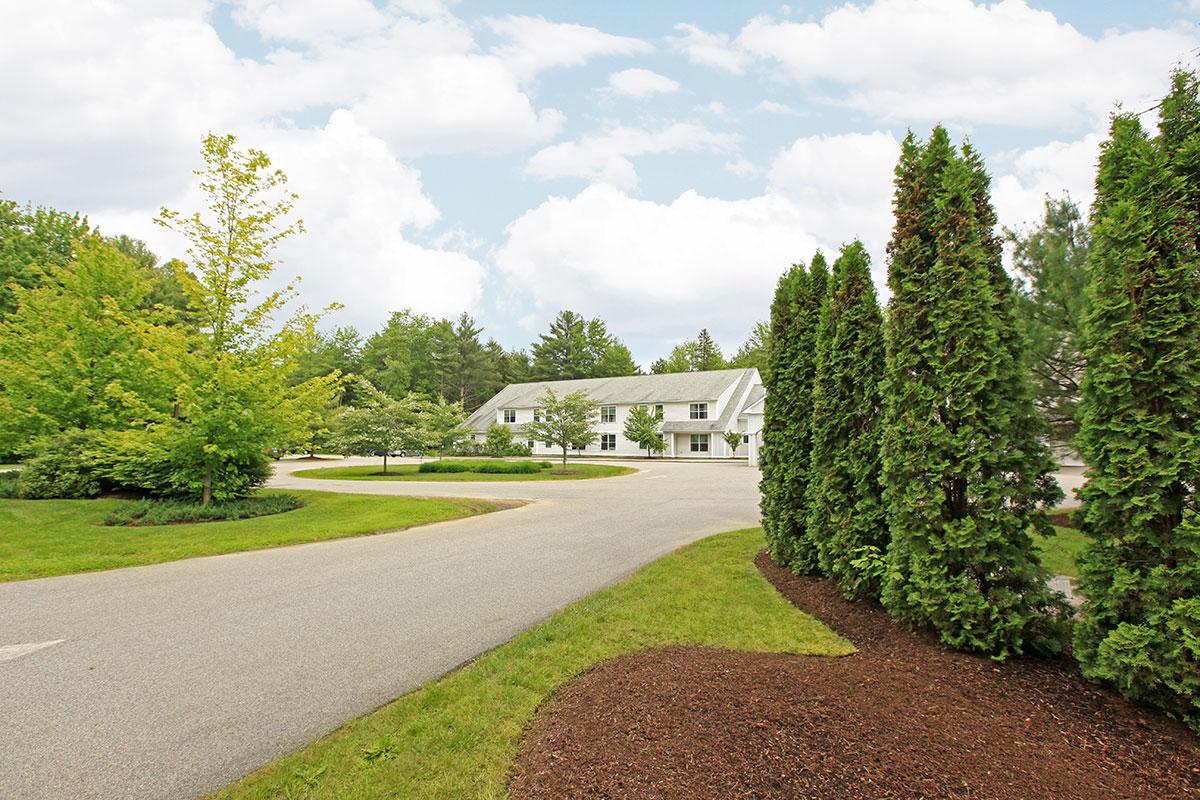 a path with trees on the side of a road