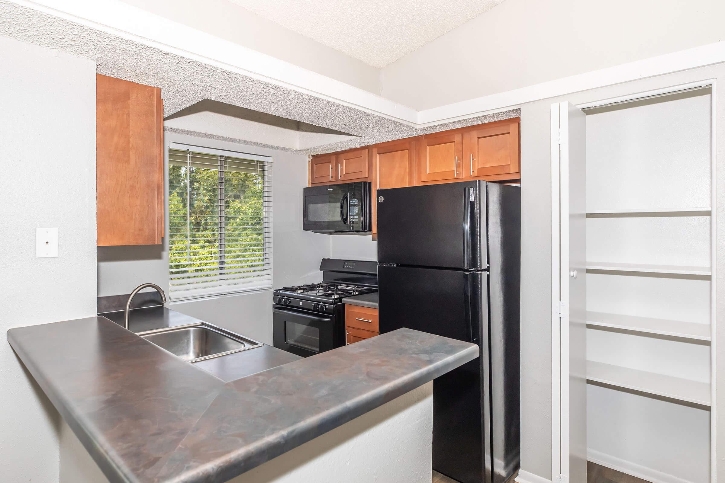 A modern kitchen featuring wooden cabinets, black appliances including a refrigerator and a gas stove, a double sink, and a window with blinds. There is also a tall pantry cupboard with sliding doors beside the refrigerator. The walls are painted gray, and the countertop is dark.