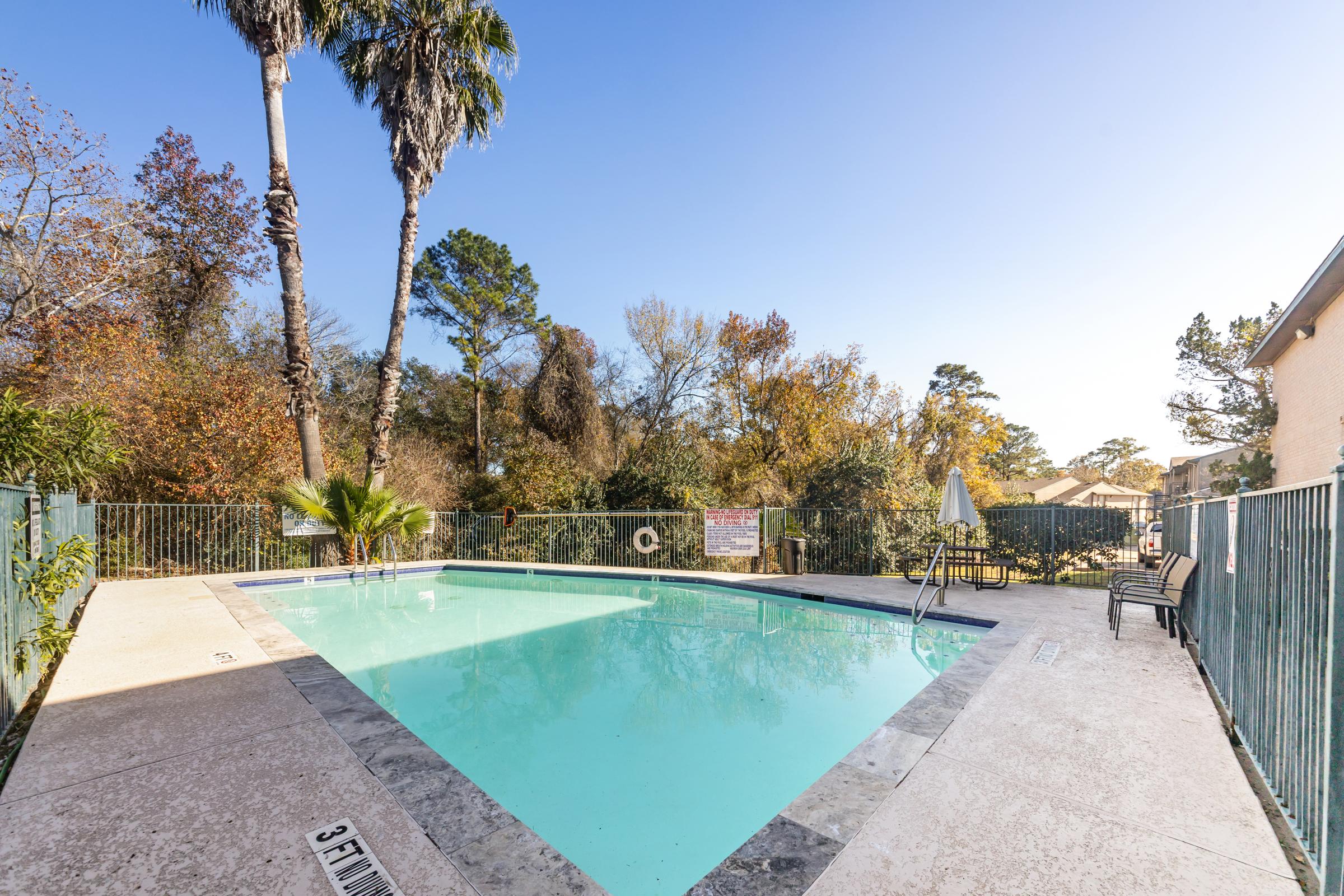 A clean outdoor swimming pool surrounded by a green fence, with palm trees and autumn foliage in the background. A lounge chair sits nearby, and a small umbrella is set up at the pool's edge, under a clear blue sky.