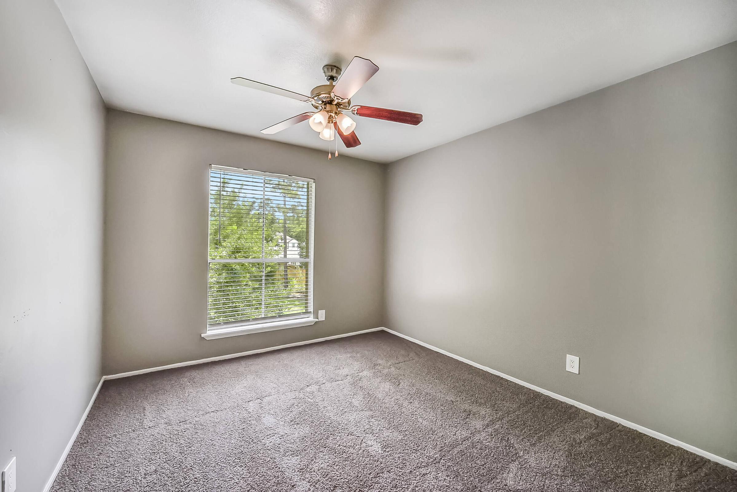 Empty room with gray walls and plush carpet. A ceiling fan with light fixtures hangs from the ceiling, and there is a window with blinds allowing natural light to enter. The room appears well-lit and spacious, suitable for various uses.