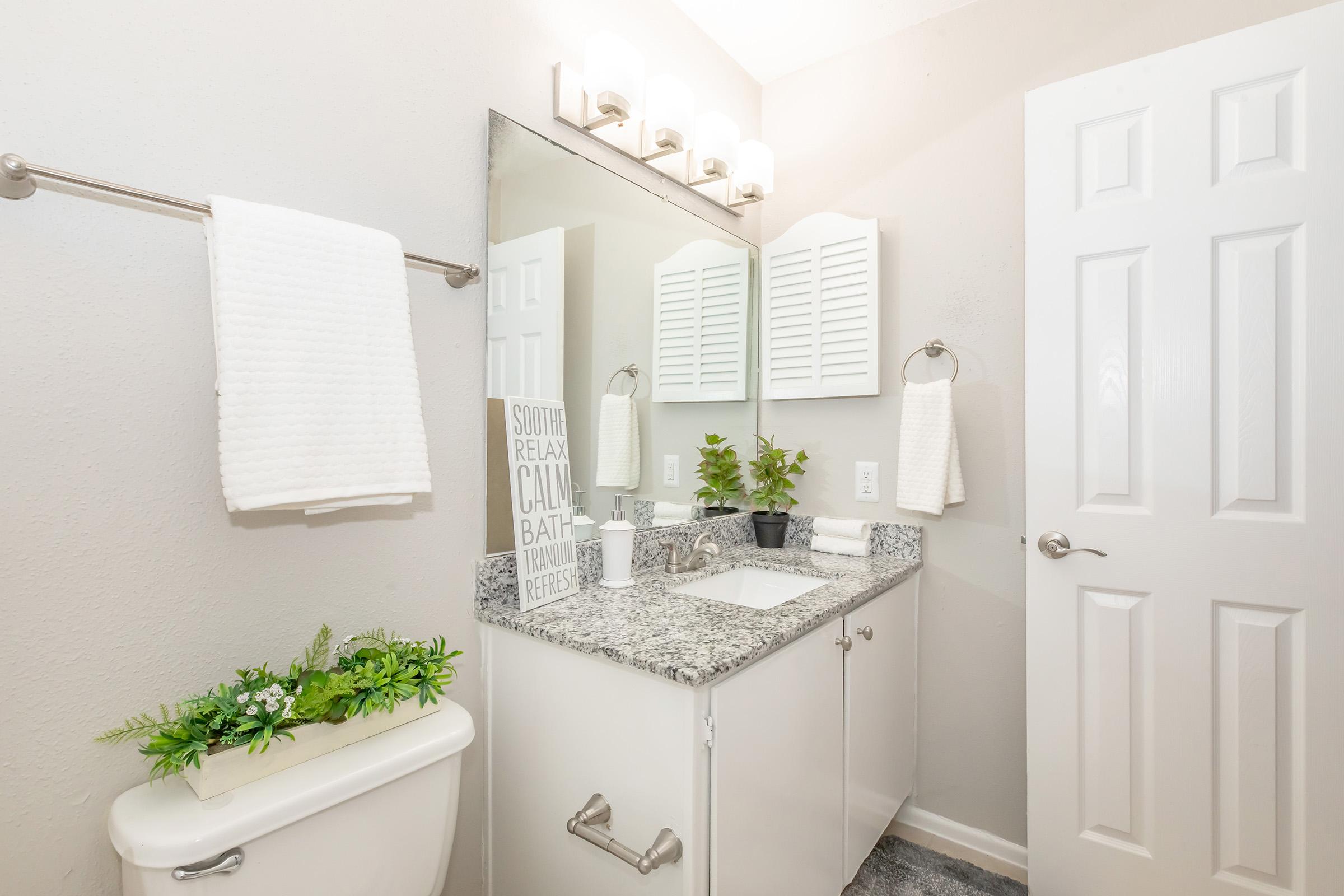 A modern bathroom featuring a granite countertop with a sink, a large mirror, and wall-mounted lighting. The decor includes soft white towels, a small plant, and a decorative plant on the counter. A closed toilet is visible, along with a white door leading to another part of the space. The walls are painted light gray.