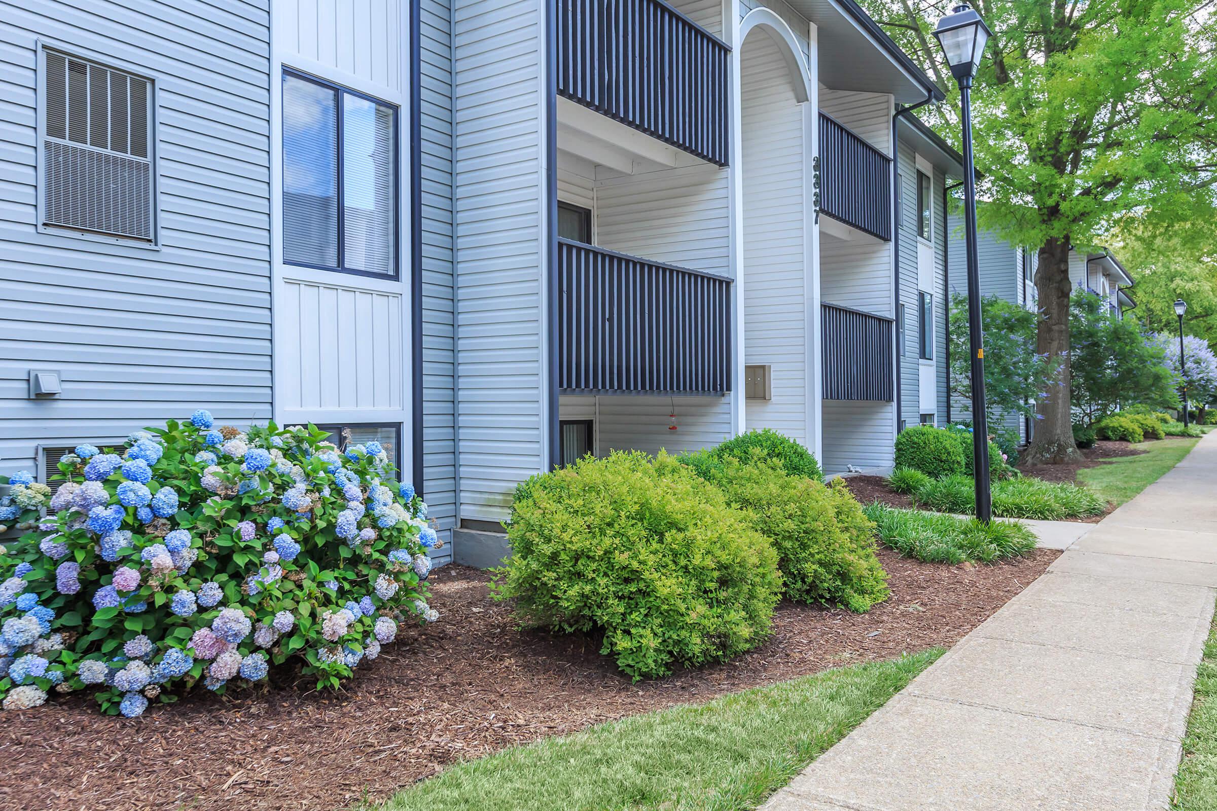 a close up of a flower garden in front of a brick building