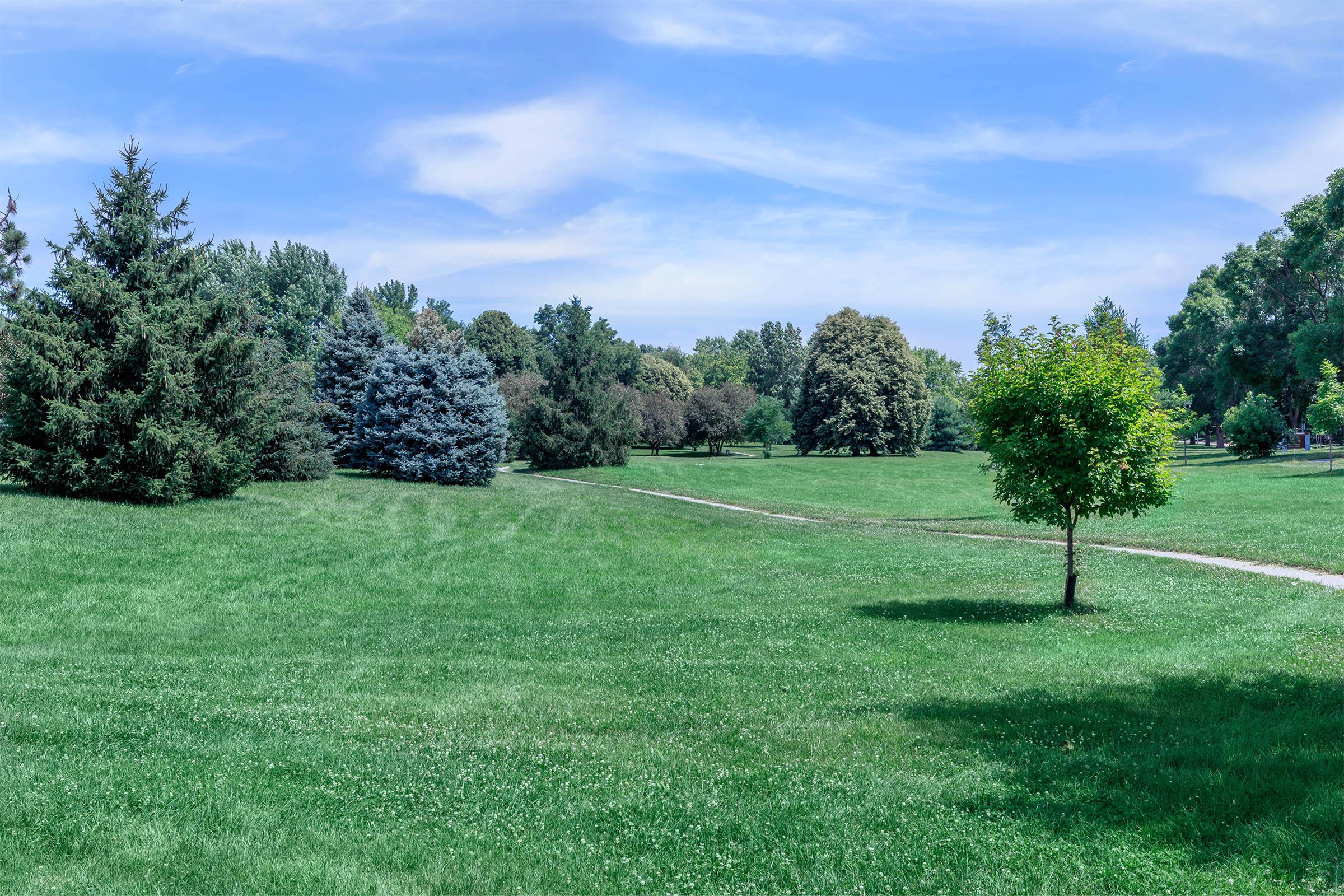 a close up of a lush green field