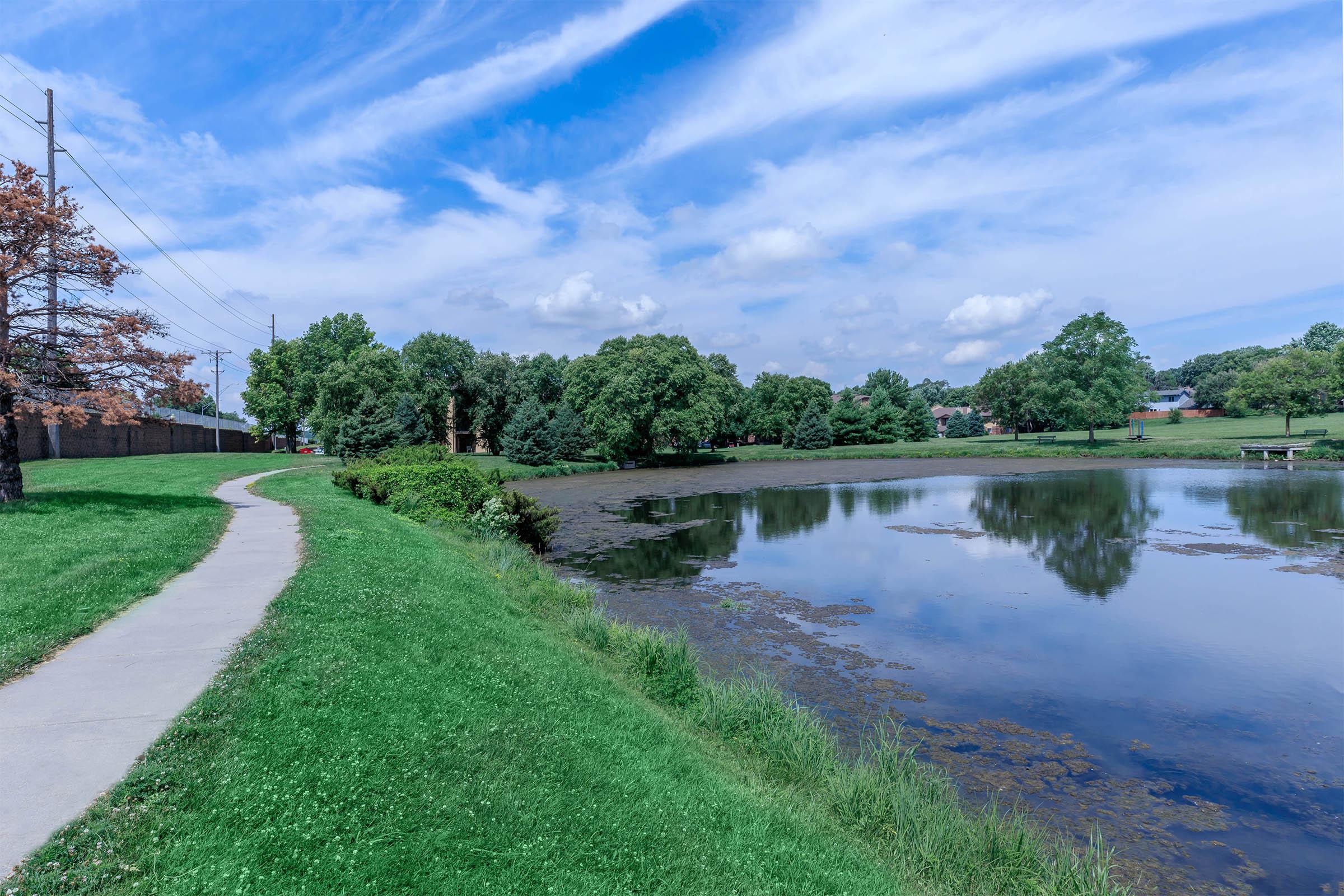 a path with trees on the side of a river