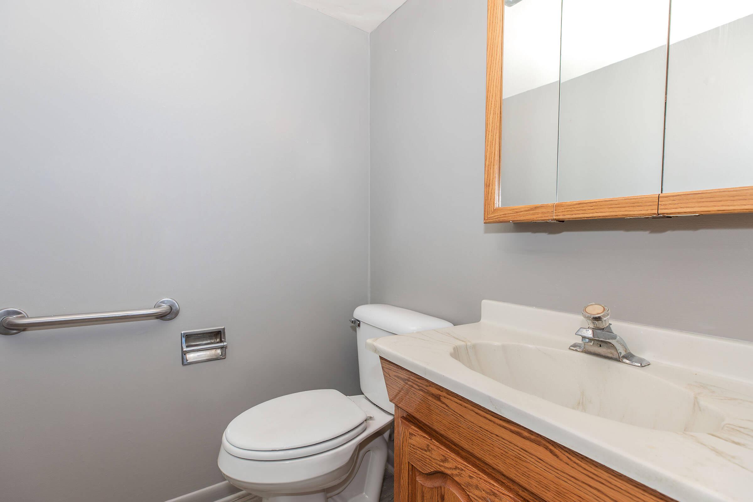 Bathroom with vanity, mirror, and toilet at Homewood Manor Apartments in Moline, IL