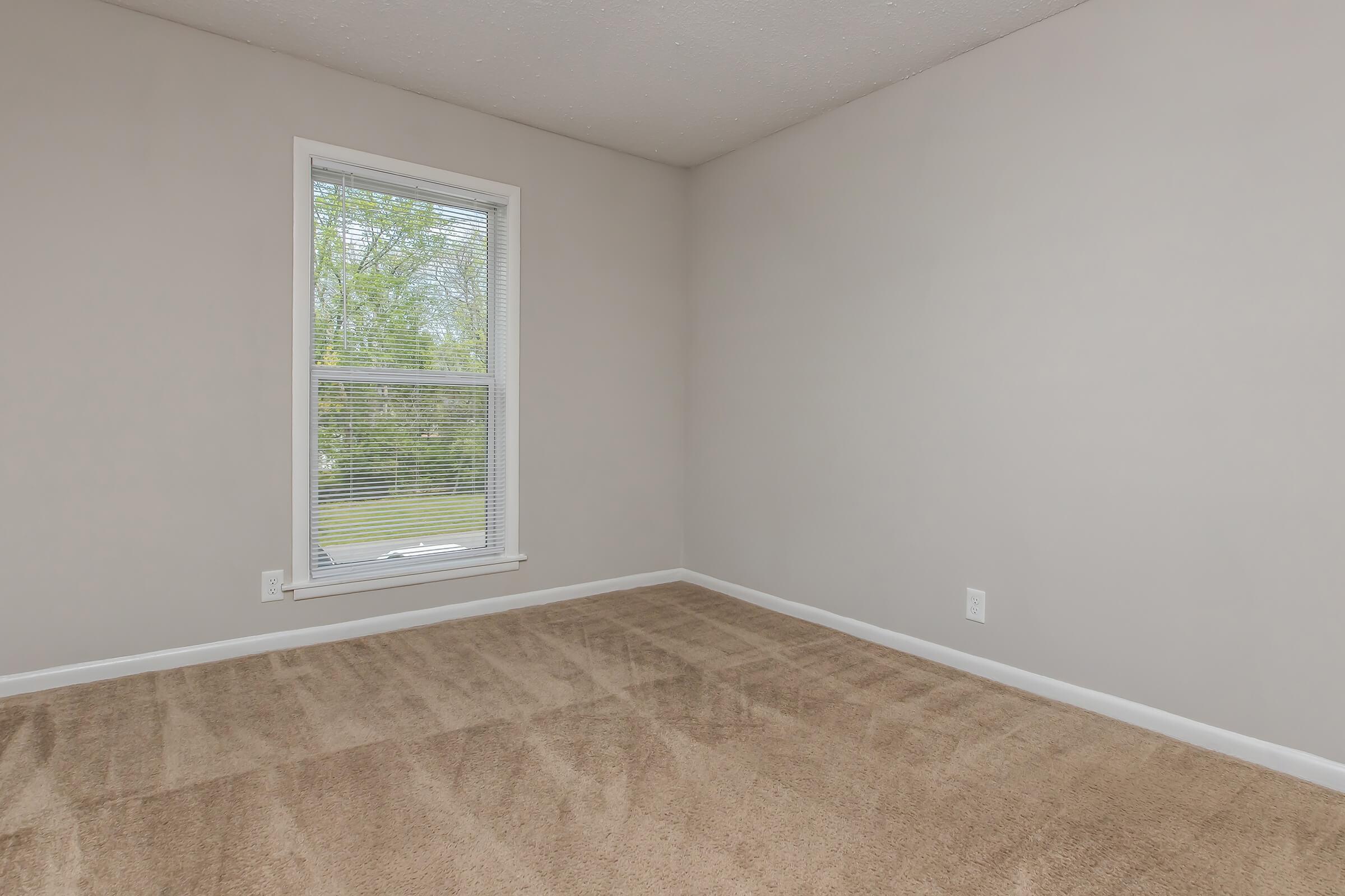 Empty room with beige carpet, light gray walls, and a single window letting in natural light. The window overlooks a green outdoor area, and there are no furnishings or decorations in the space. The overall atmosphere is bright and inviting, creating a blank canvas for potential decoration.