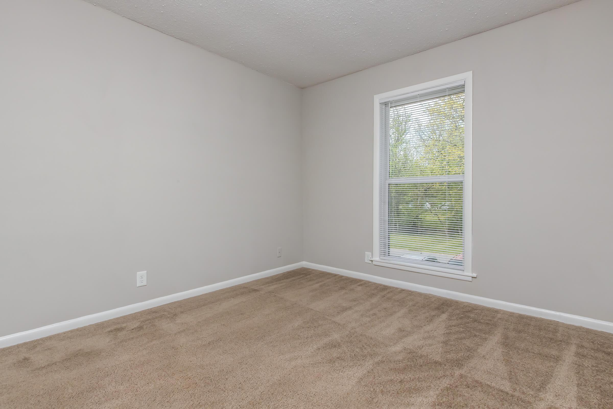 A vacant, unfurnished room featuring beige carpet and light gray walls. A large window with white blinds allows natural light to enter, revealing a view of greenery outside. The space is empty, creating a blank canvas for potential decoration or furniture arrangement.