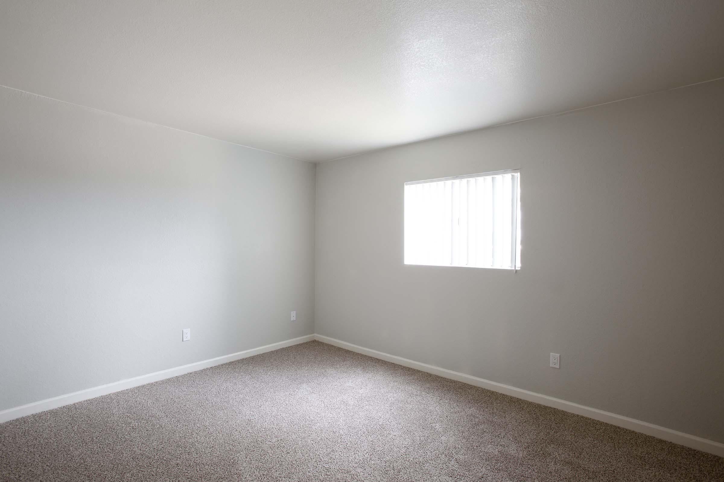 A spacious, empty room with light gray walls and a soft carpeted floor. The only window, featuring vertical blinds, lets in natural light, creating a bright and airy atmosphere. The room has minimal overhead lighting and lacks furniture, emphasizing its openness. Ideal for various uses or as a blank canvas.