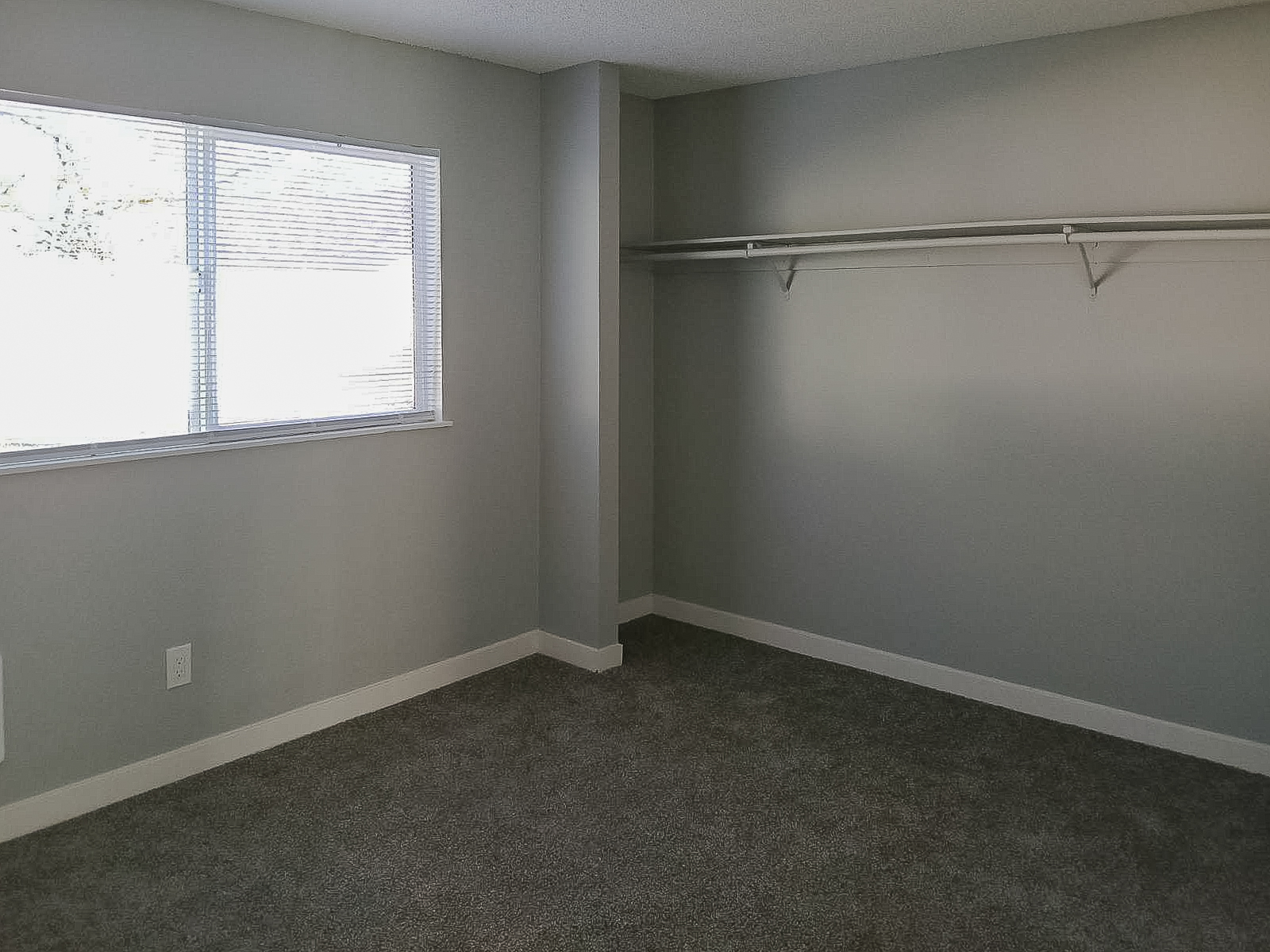 A spacious empty room with gray walls and carpet. There is a window on the left side allowing natural light, and a closet area with a shelf along the back wall. The room appears clean and well-lit, ready for furnishings or decoration.