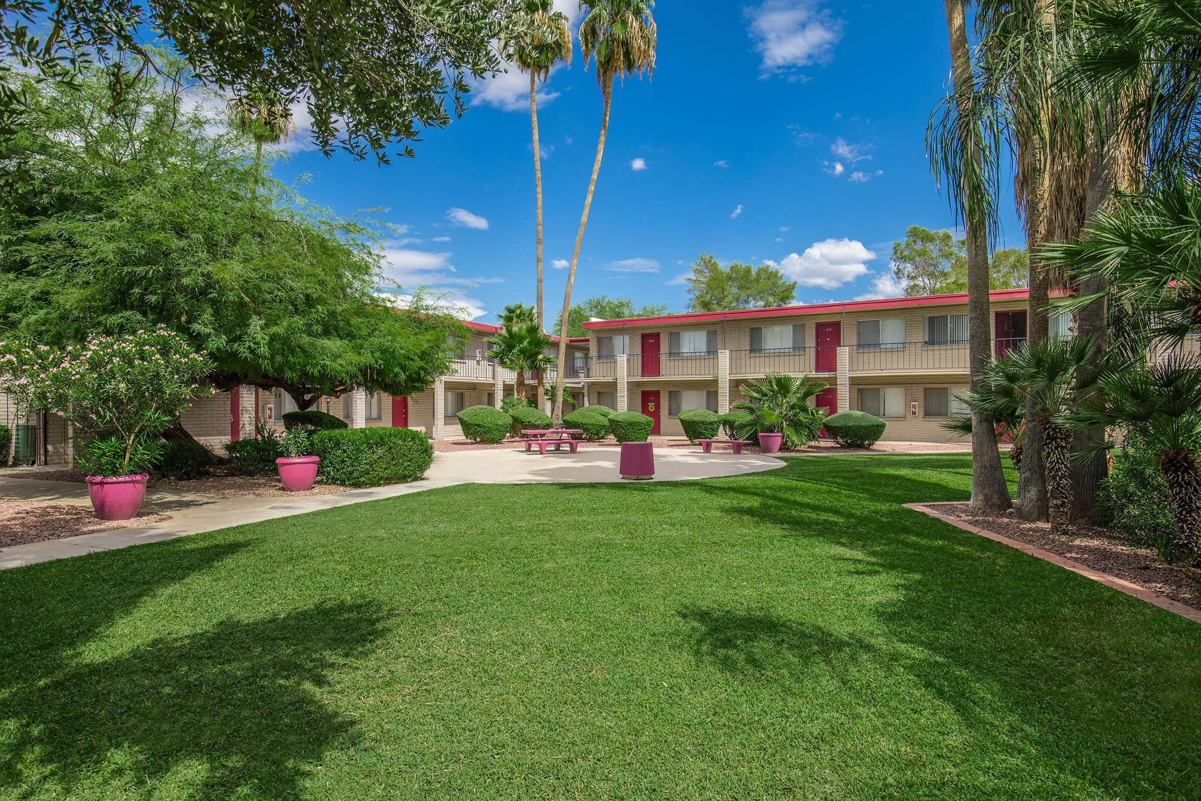 a large lawn in front of a tree