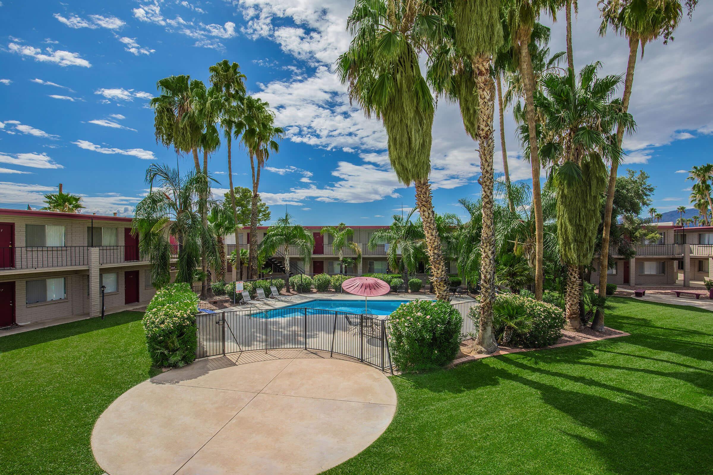 a large lawn in front of a palm tree