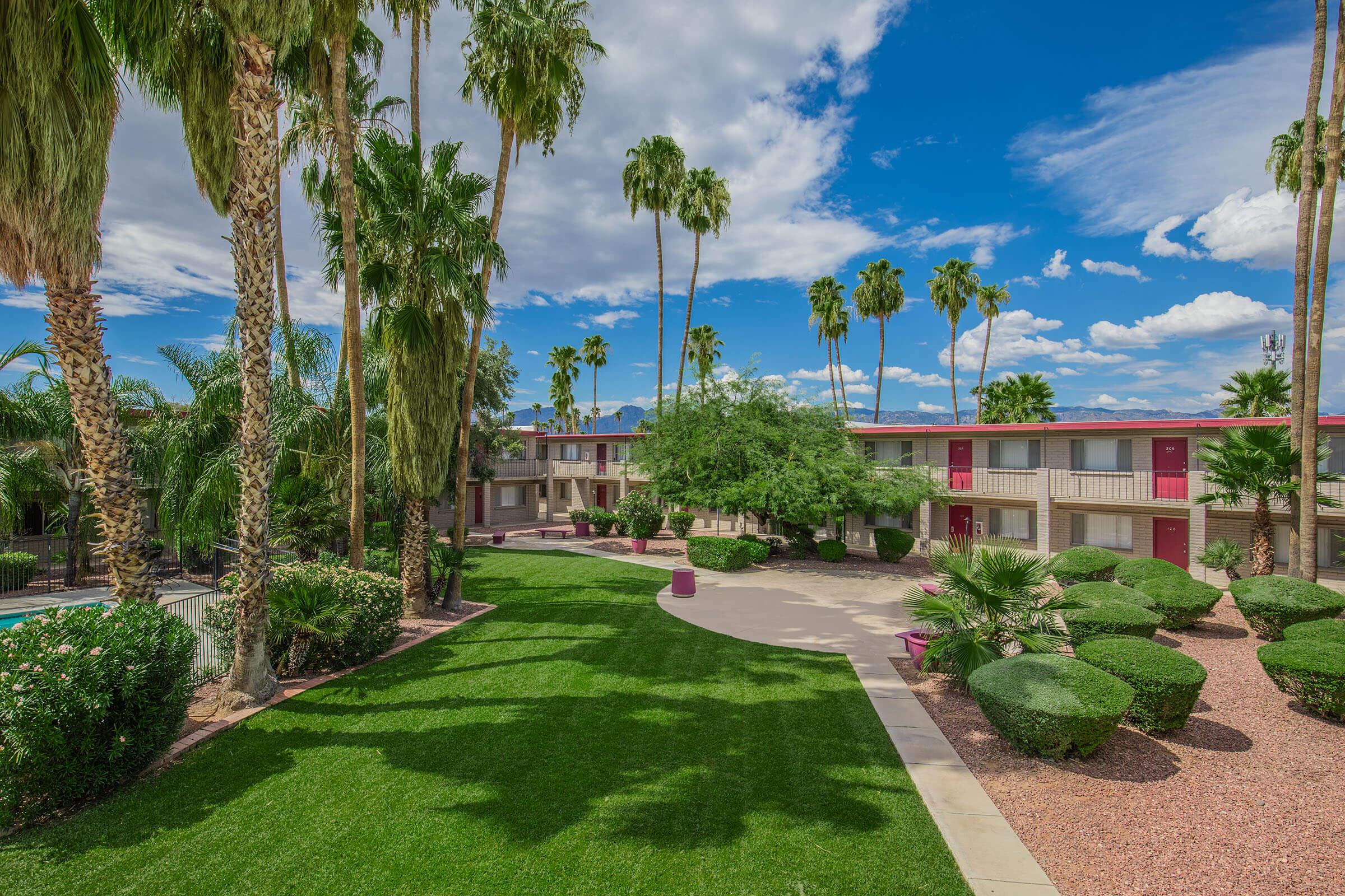 a garden in front of a palm tree