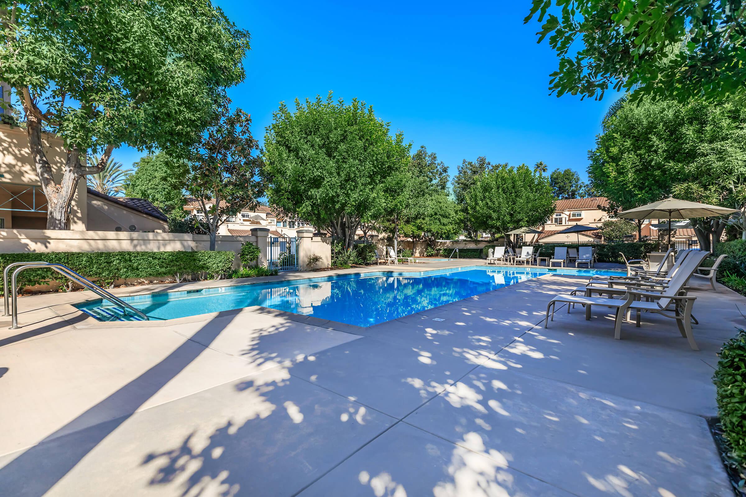 a pool next to a tree