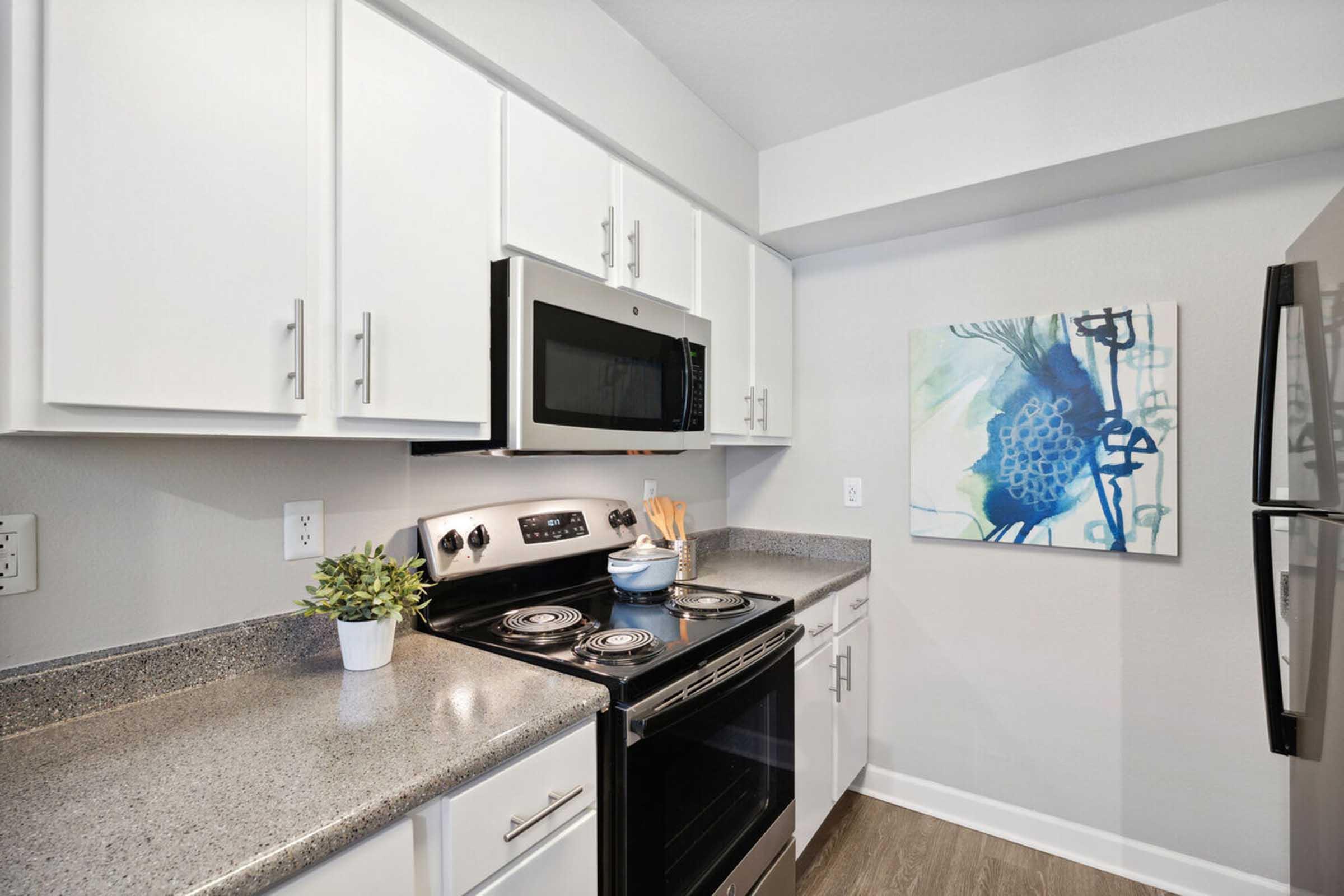 Contemporary kitchen featuring white cabinetry, black appliances, and a granite countertop. An electric stove is placed next to a microwave, with a blue-themed artwork on the wall.