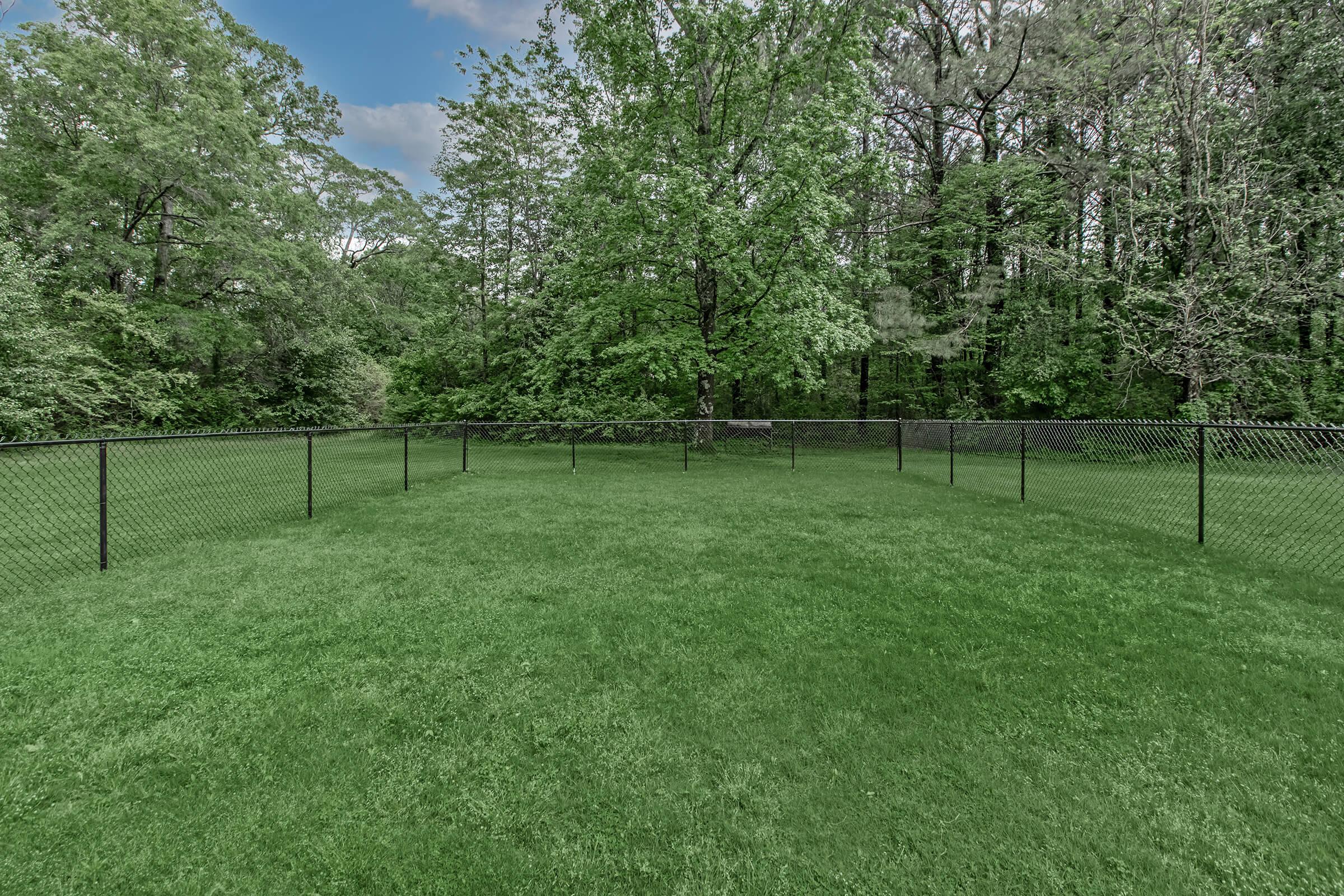A spacious green lawn enclosed by a black chain-link fence, surrounded by lush trees under a blue sky. The area appears well-maintained, with vibrant grass and a serene atmosphere, perfect for outdoor activities or relaxation.