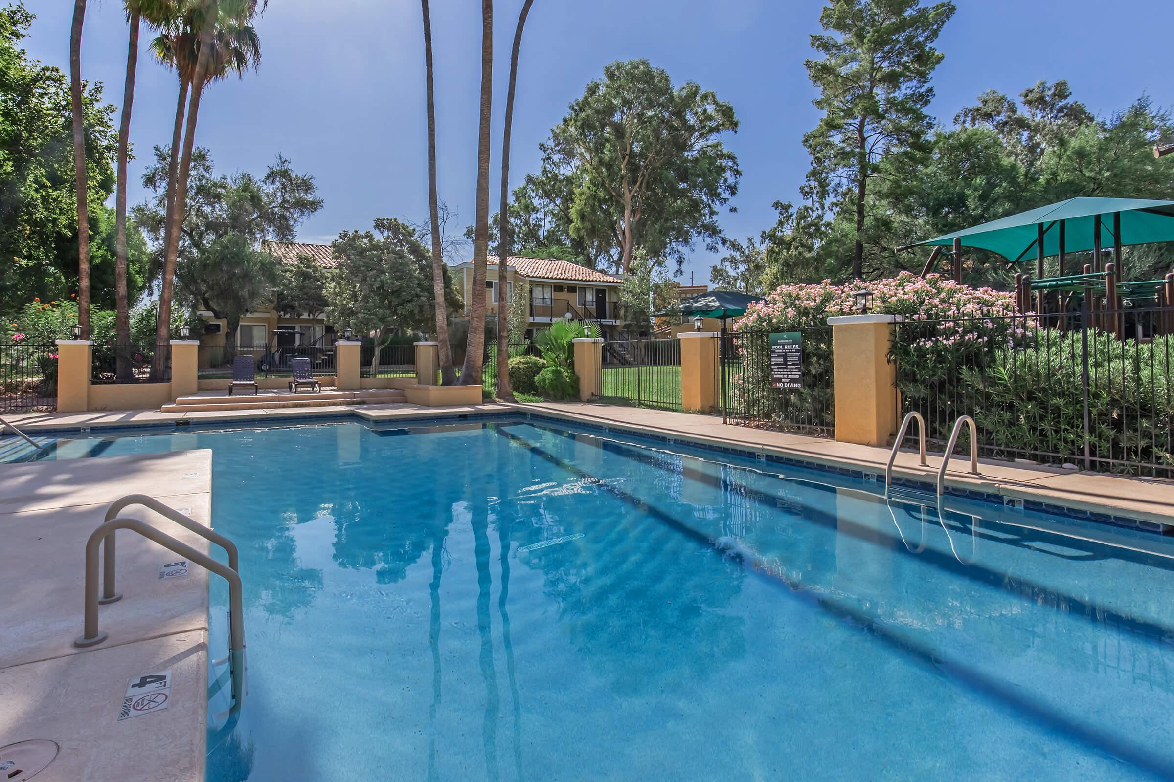 A serene swimming pool surrounded by palm trees and lush greenery. The pool glistens under the sun with clear blue water. In the background, there are cozy lounge chairs and shaded seating areas, creating a relaxing outdoor atmosphere. The landscape features flowering bushes and a well-maintained garden.
