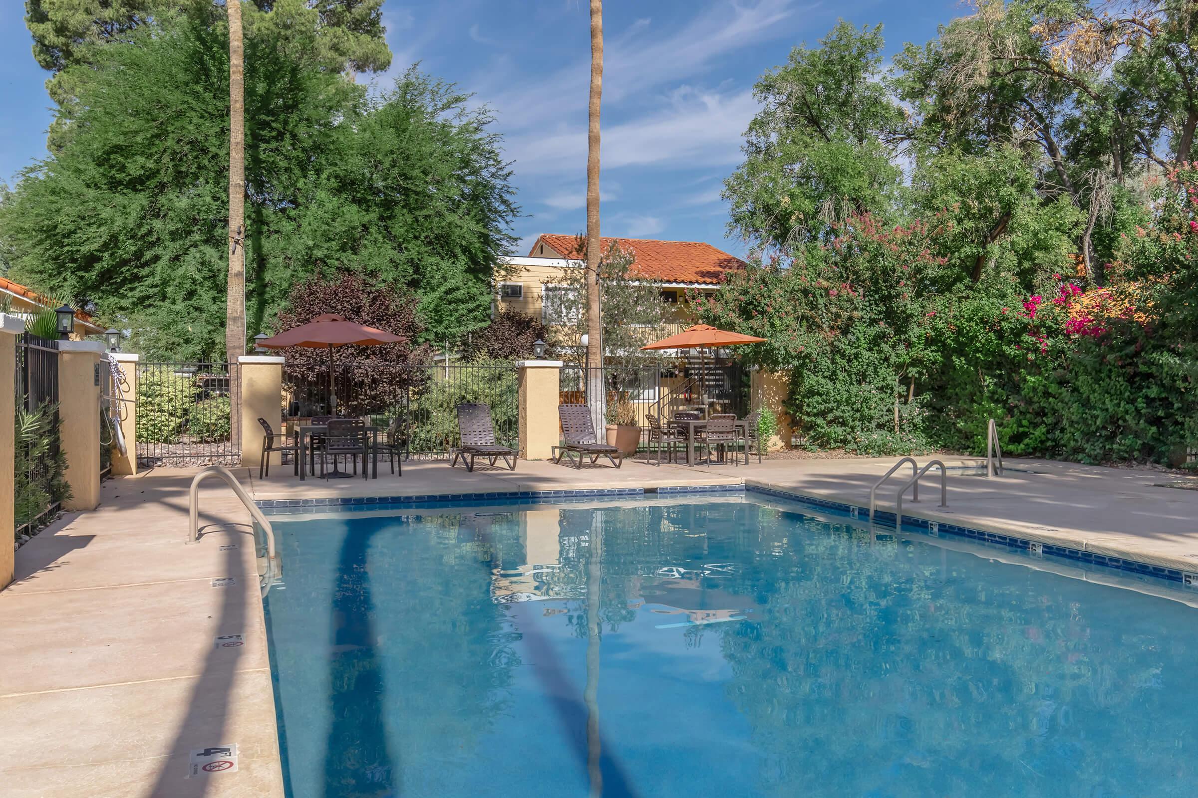 A serene swimming pool surrounded by lounge chairs and umbrellas, with lush greenery and flowering plants in the background. The sky is bright and clear, enhancing the inviting atmosphere of the pool area.