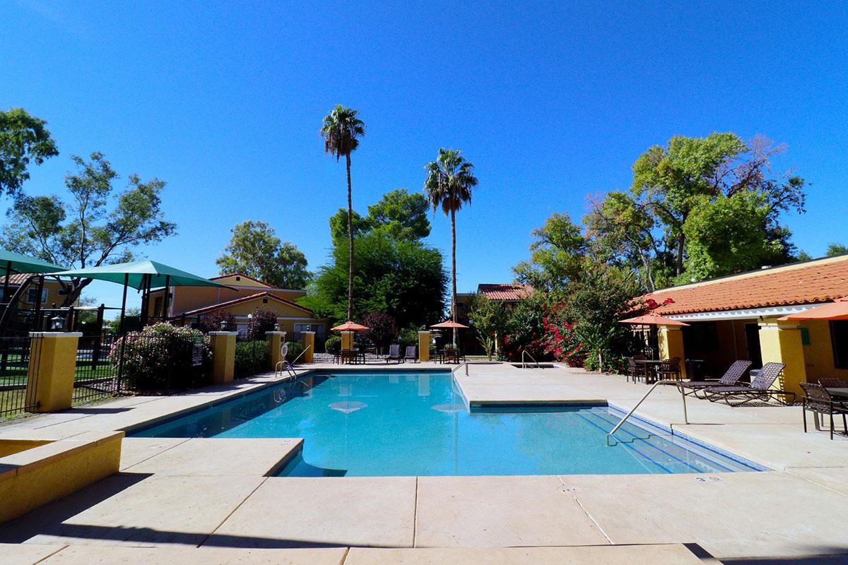 A serene outdoor swimming pool surrounded by palm trees and lush greenery. Lounge chairs are scattered around the pool area, and umbrellas provide shade. Bright blue sky overhead, creating a relaxing atmosphere perfect for leisure and enjoyment.