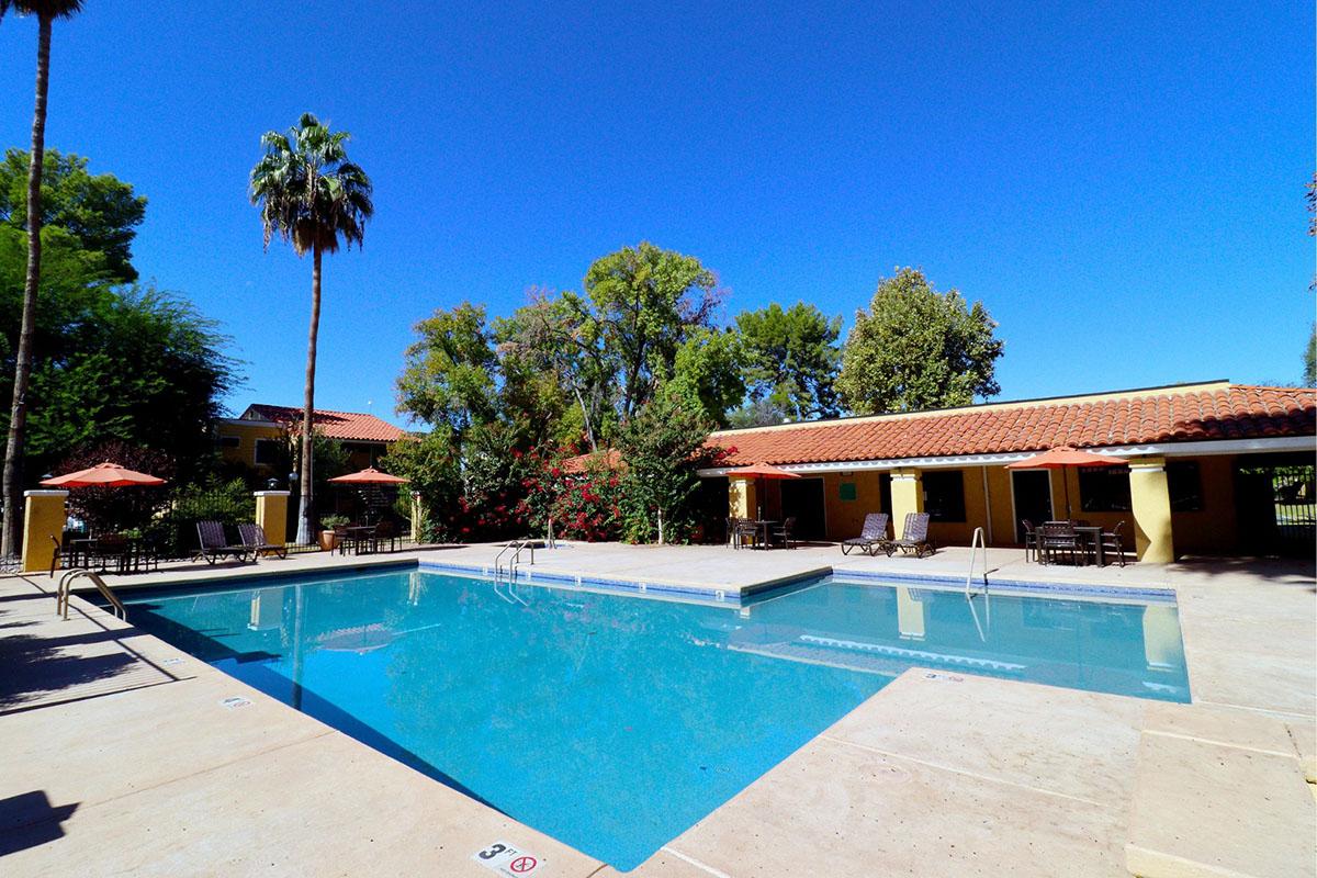 A tranquil pool area surrounded by palm trees and colorful blooming plants. The clear blue water reflects the bright sky. Comfortable lounge chairs are arranged around the pool, and shaded umbrellas offer relaxation spots. A building with a red-tiled roof is visible in the background, completing the serene setting.