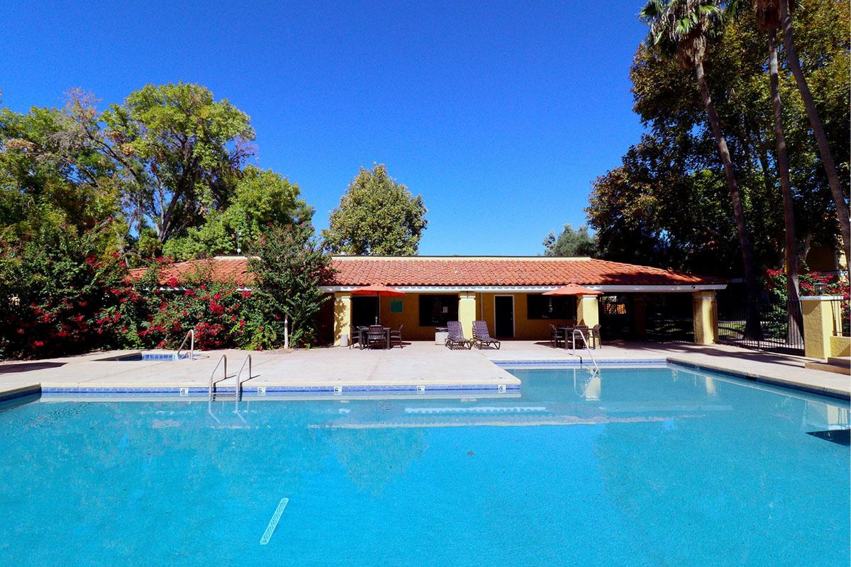 A clear blue pool surrounded by a sunlit patio. Comfortable lounge chairs are situated by the water, with lush green trees and vibrant flowering bushes in the background. A building with a red tile roof is visible, adding to the tranquil outdoor setting. The sky is bright and blue.