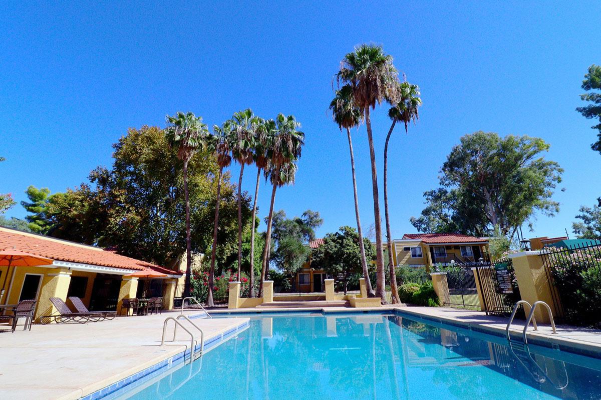 A clear blue sky above a swimming pool surrounded by palm trees. In the background, there are colorful buildings and lush greenery. The pool area features lounge chairs, creating a relaxing atmosphere.