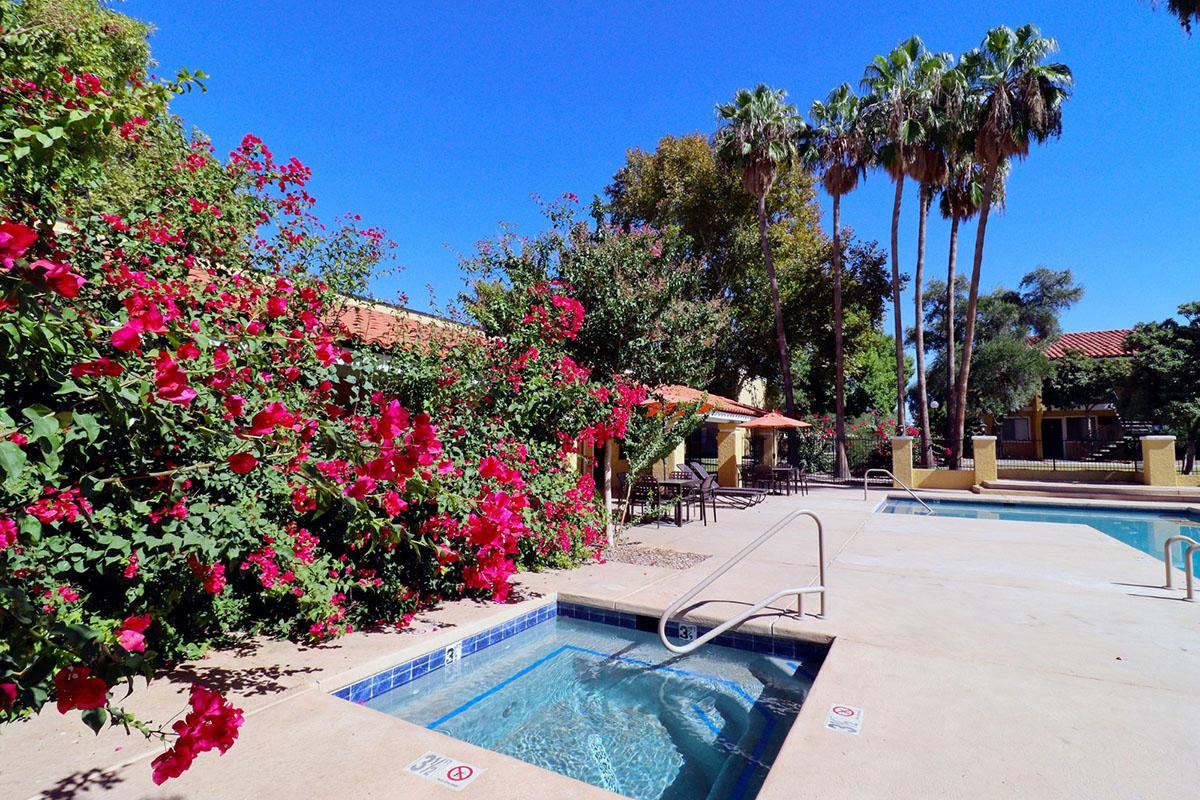 A sunny outdoor pool area surrounded by vibrant pink flowers and lush greenery, with tall palm trees in the background. A jacuzzi is visible near the pool, and there are umbrellas and lounge chairs for relaxation. The clear blue sky adds to the tranquil atmosphere.