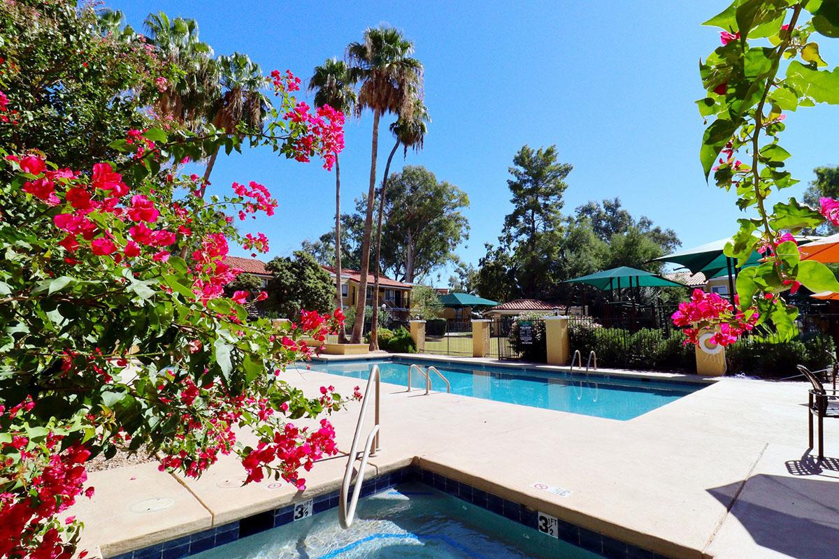 A serene swimming pool surrounded by lush greenery and vibrant pink flowers. In the background, tropical palm trees and buildings add to the relaxing atmosphere. Clear blue skies create a bright, inviting scene perfect for leisure and recreation.