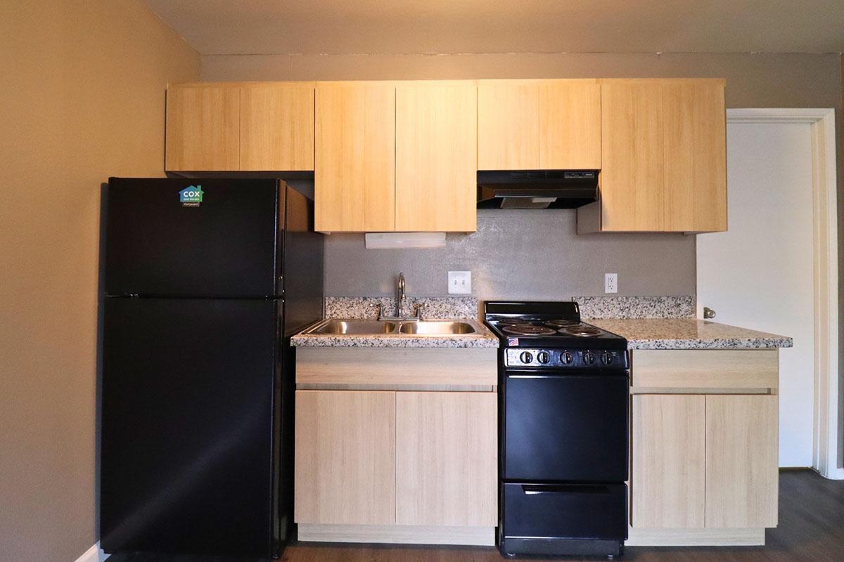 Modern kitchen featuring light wood cabinetry, a black refrigerator, a double sink with a chrome faucet, and a black stove. The countertops are covered with grey speckled granite. The walls are painted a muted beige, creating a warm and inviting atmosphere.
