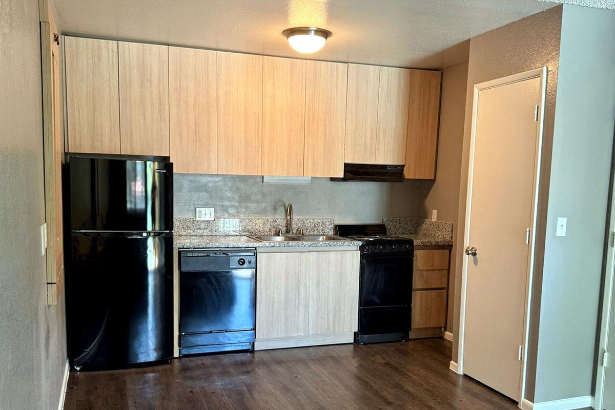 Modern kitchen with light wood cabinetry, granite countertops, and stainless steel appliances. Includes a black refrigerator, dishwasher, and stove. The walls are painted a light gray, and the flooring is dark wood. A single light fixture is installed on the ceiling. A closed door is visible to the right.