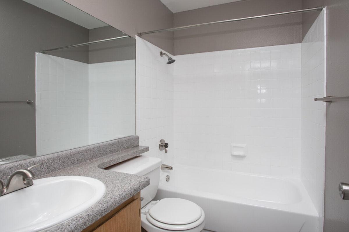 A clean, modern bathroom featuring a white tiled shower and bathtub, a sink with a granite countertop, and a toilet. The walls are painted a soft gray, and there is a large mirror above the sink. The overall design is simple and functional, with a focus on a spacious look.