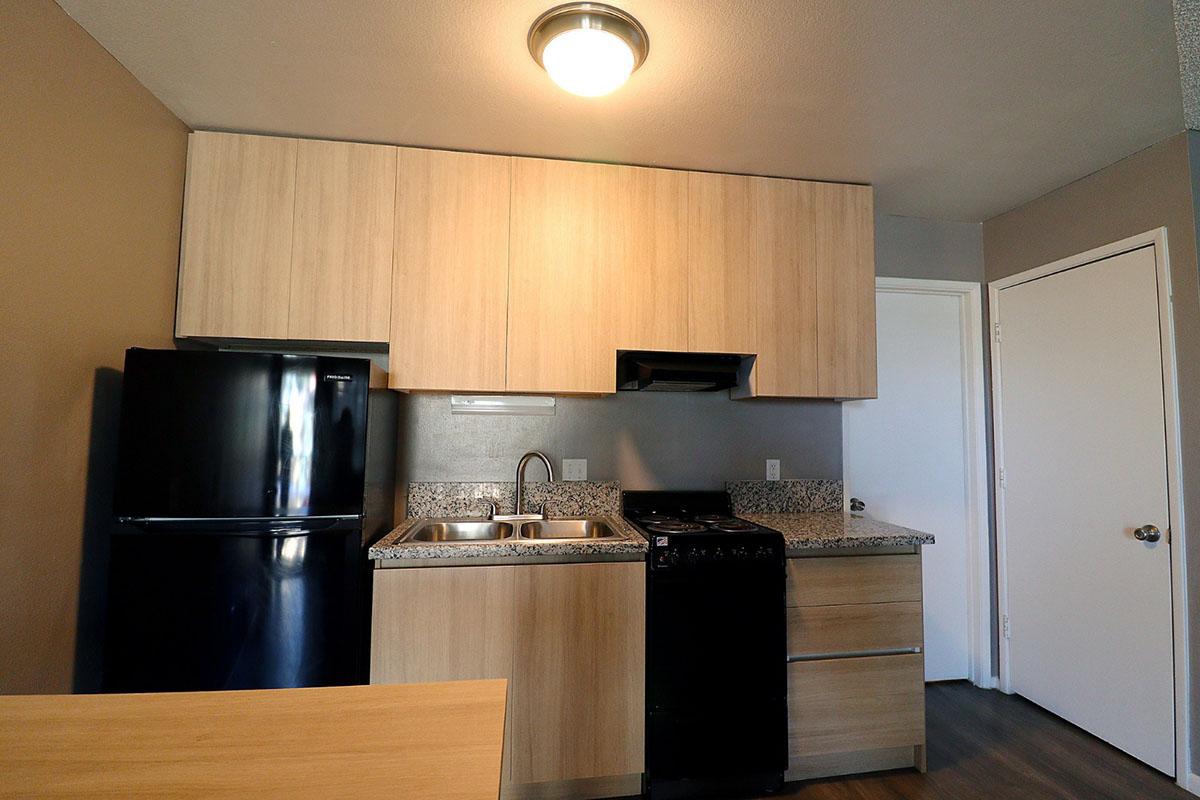 Modern kitchen featuring light wood cabinetry, a black refrigerator, a silver sink with dual faucets, and a black stove. The countertop is a gray speckled design, and there is a white door on the right leading to another room. The walls are painted in a neutral tone, and a ceiling light provides illumination.