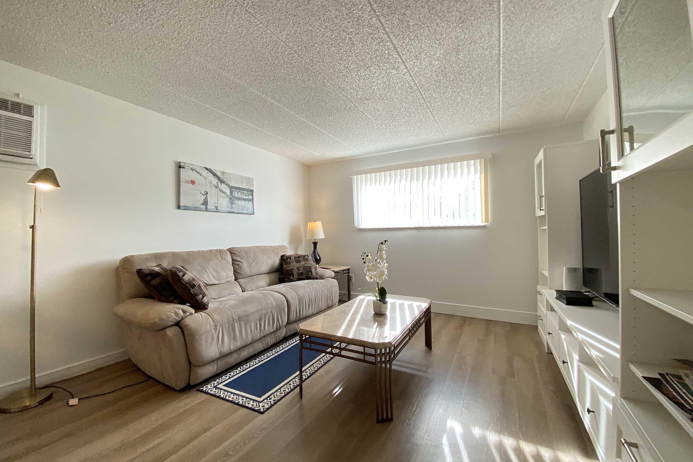 Cozy living room featuring a light-colored sofa with decorative pillows, a coffee table with a plant centerpiece, and a lamp. There's a flat-screen TV on a white entertainment unit, a patterned rug, and a window with sheer curtains allowing natural light. Walls are painted white, and flooring is wooden.