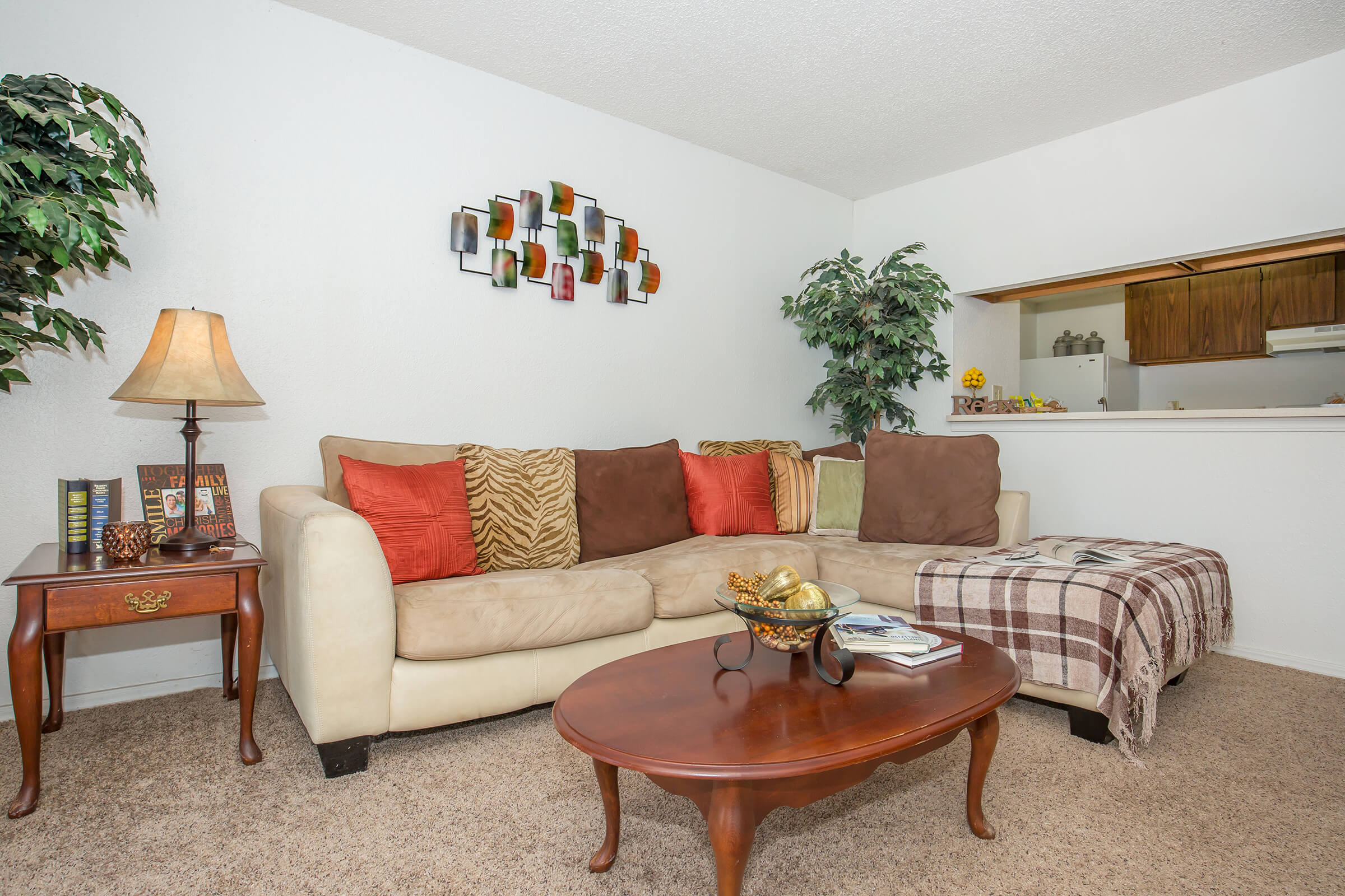 Apartment Features