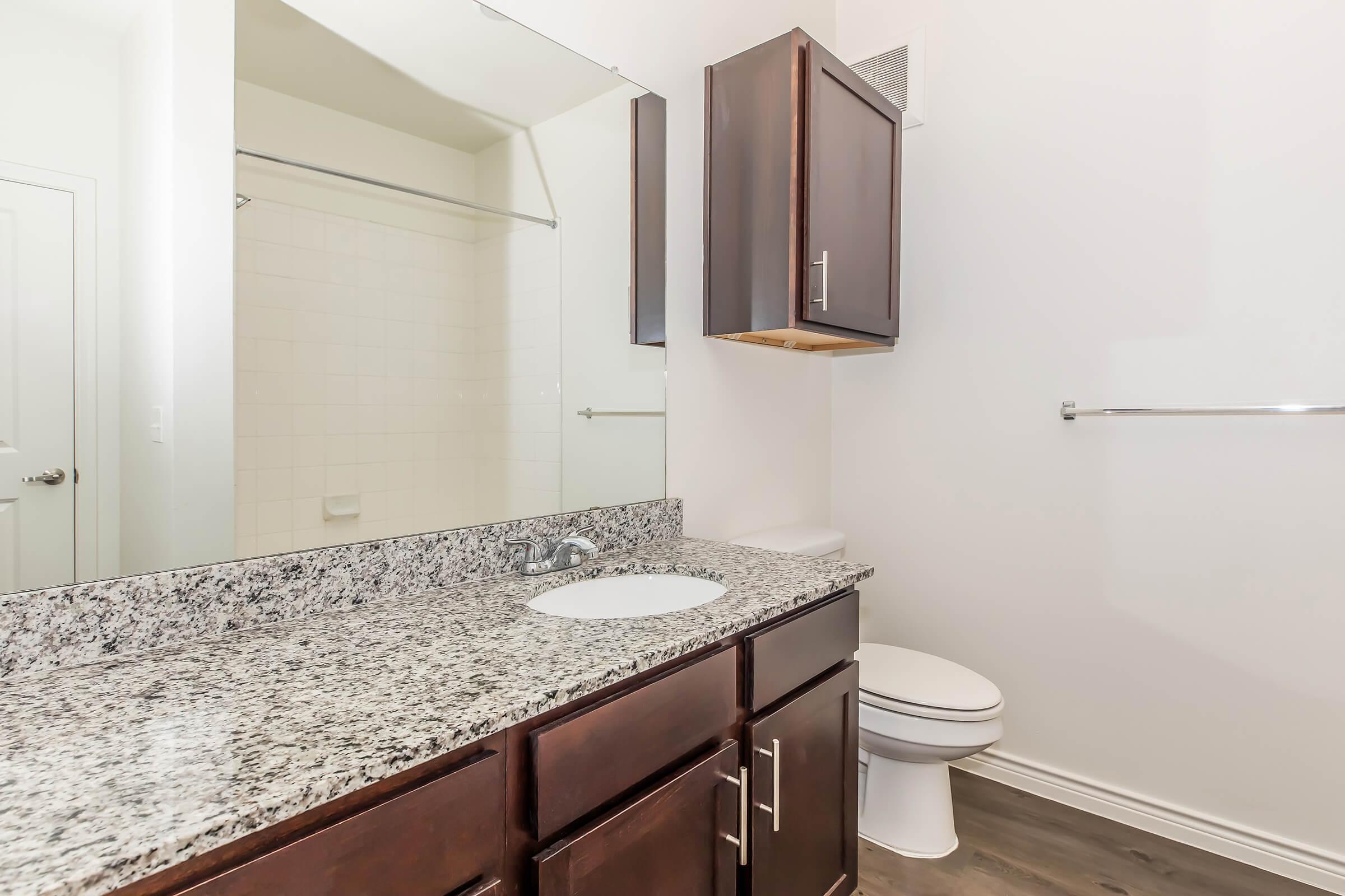 Interior of a modern bathroom featuring a granite countertop with a sink, a large mirror, dark wood cabinetry, and a white toilet. The shower area is partially visible, and the walls are painted a light color, creating a bright and clean space.