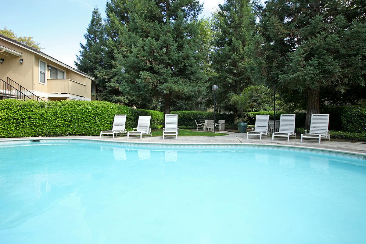 Soak up the sun by the pool at Sierra Meadows