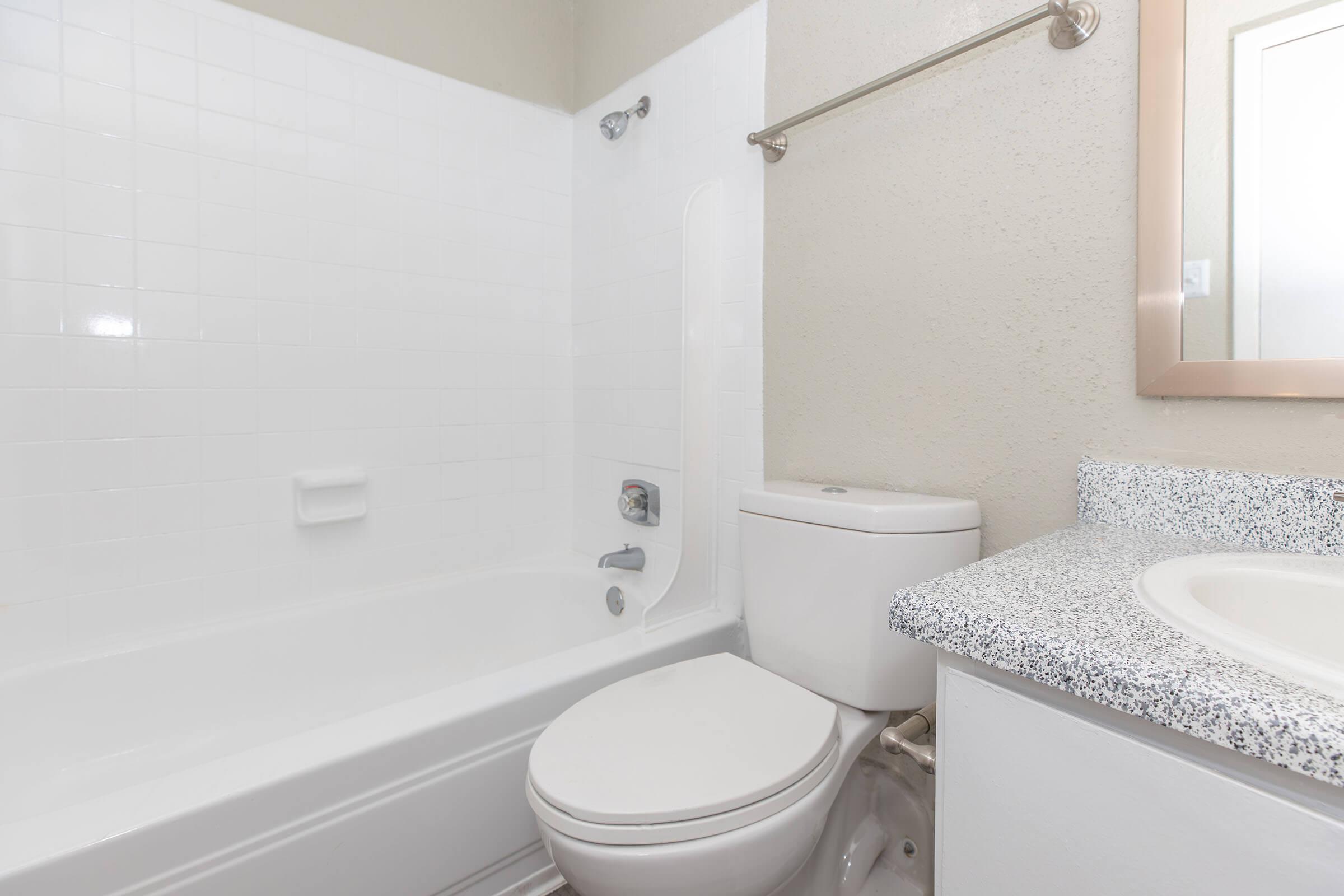 a shower that has a sink and a mirror