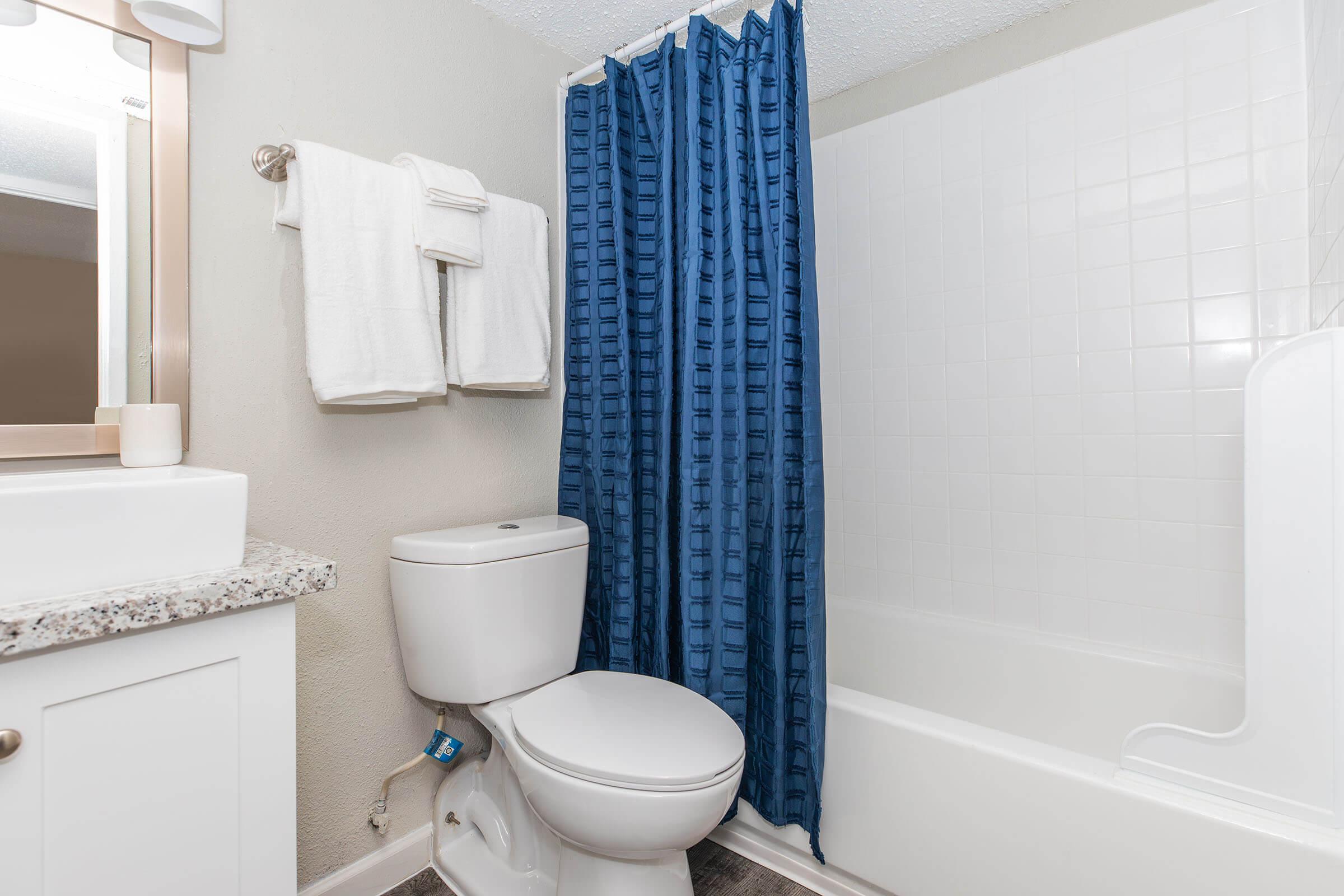 a blue and white shower curtain