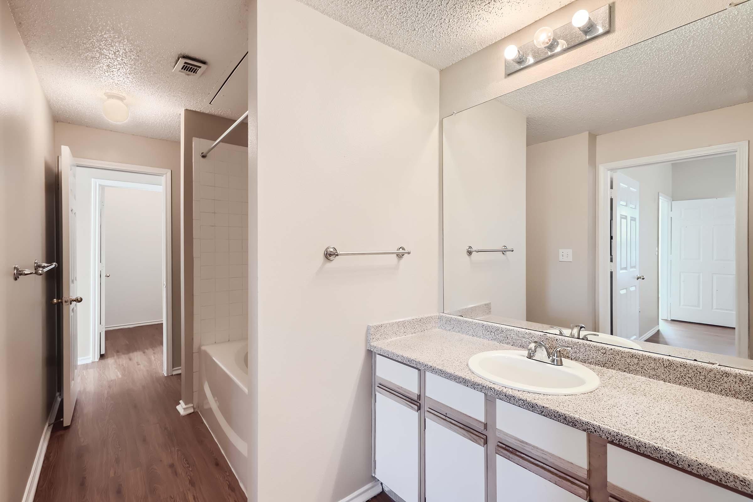 An apartment bathroom with a tub in a separate area and a vanity at Rise Skyline. 