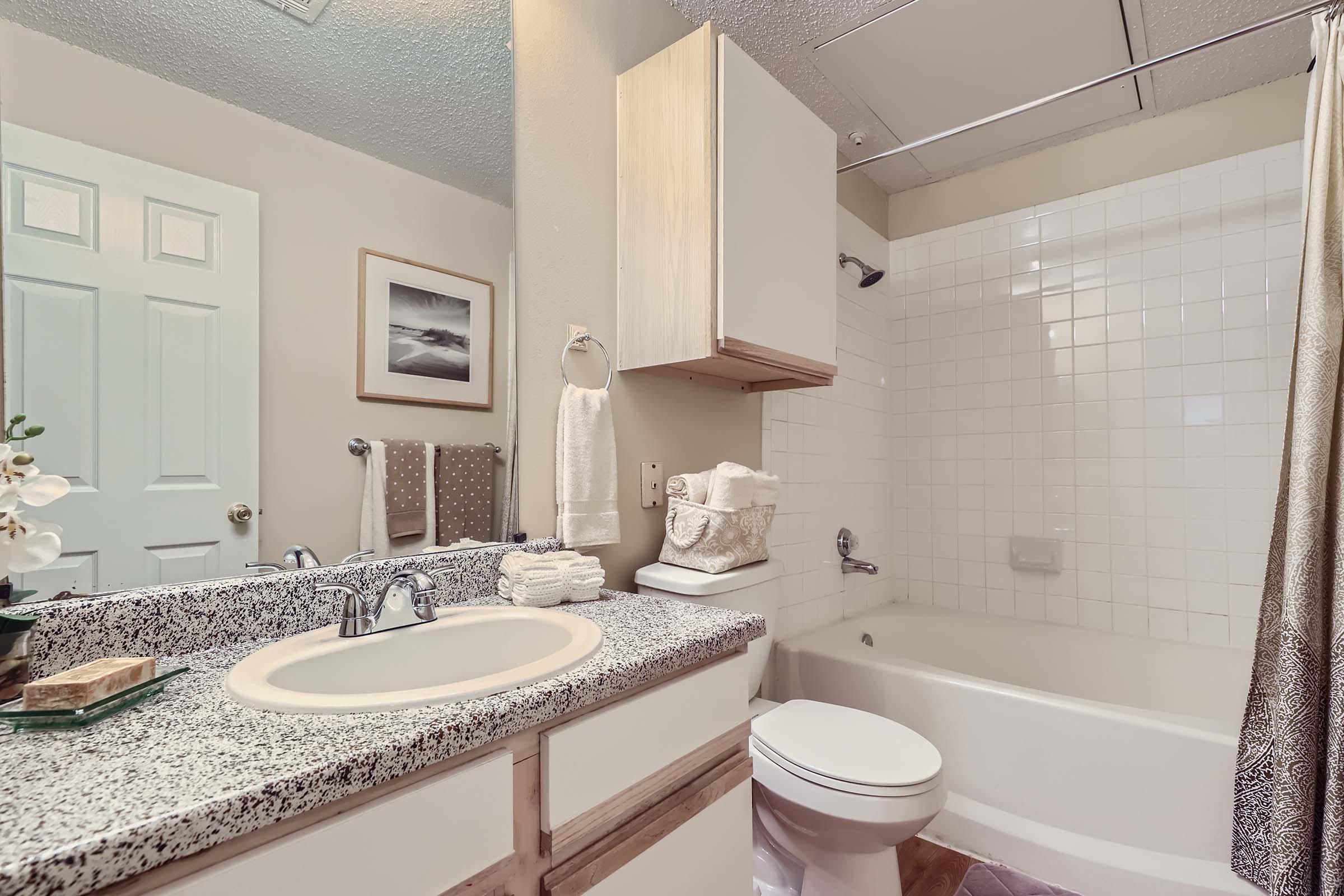 A model bathroom with a vanity, shower and accessories at Rise Skyline. 