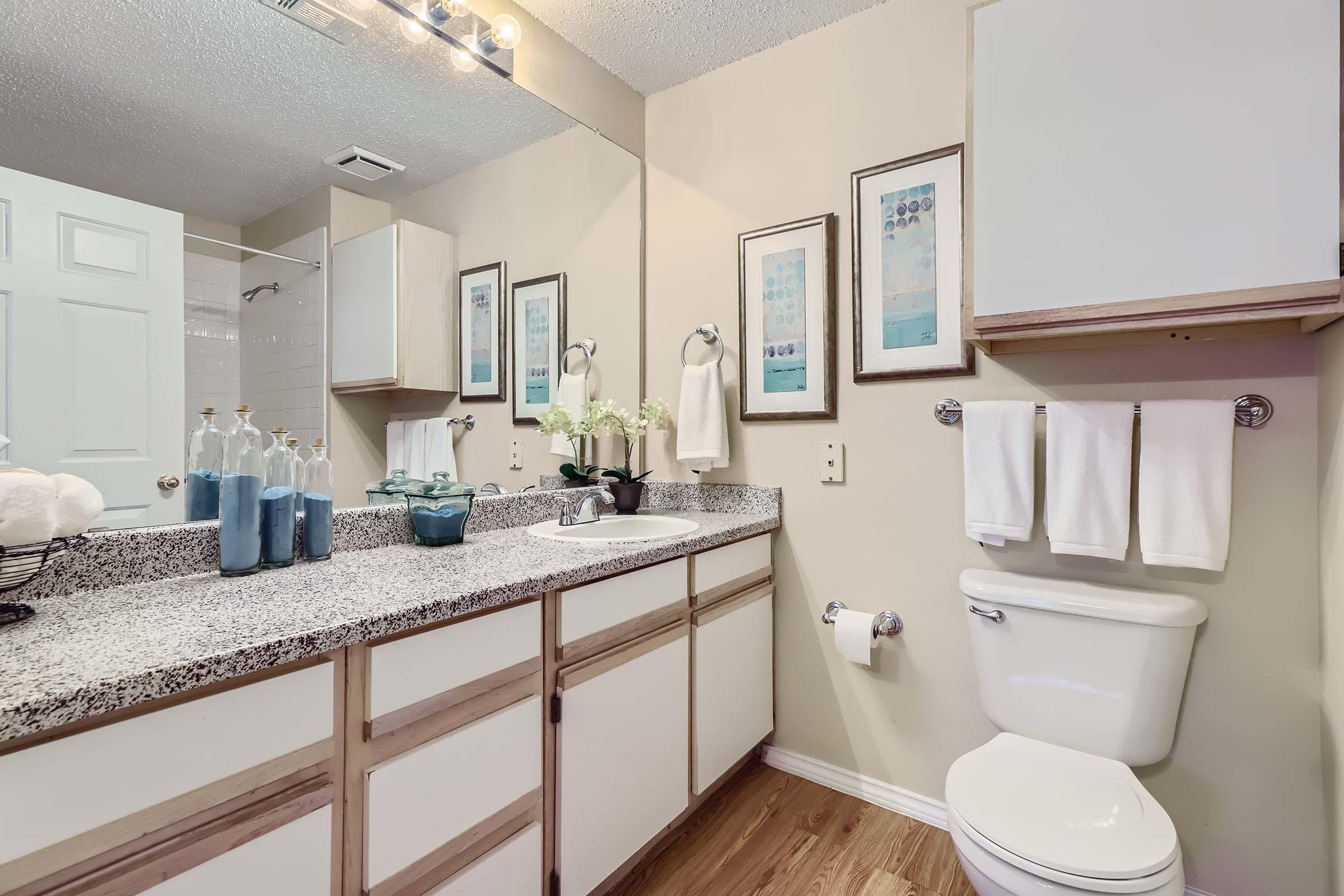 A model bathroom with a vanity, toilet and accessories at Rise Skyline. 