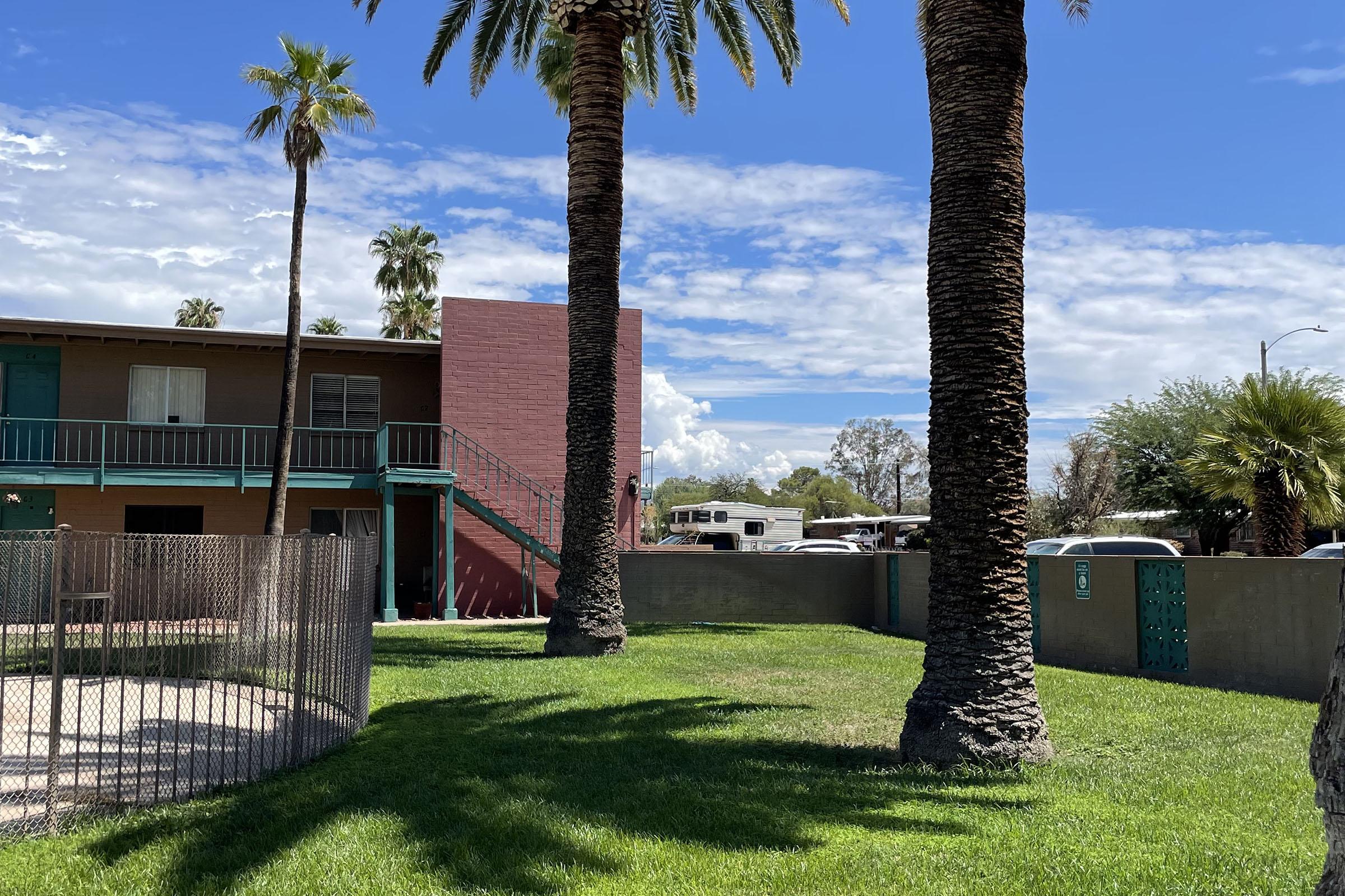 A bright outdoor scene featuring tall palm trees and a two-story building with a red wall. In the background, there are clouds in a blue sky, alongside vehicles parked near the building. A green lawn is visible in the foreground, bordered by a fence.