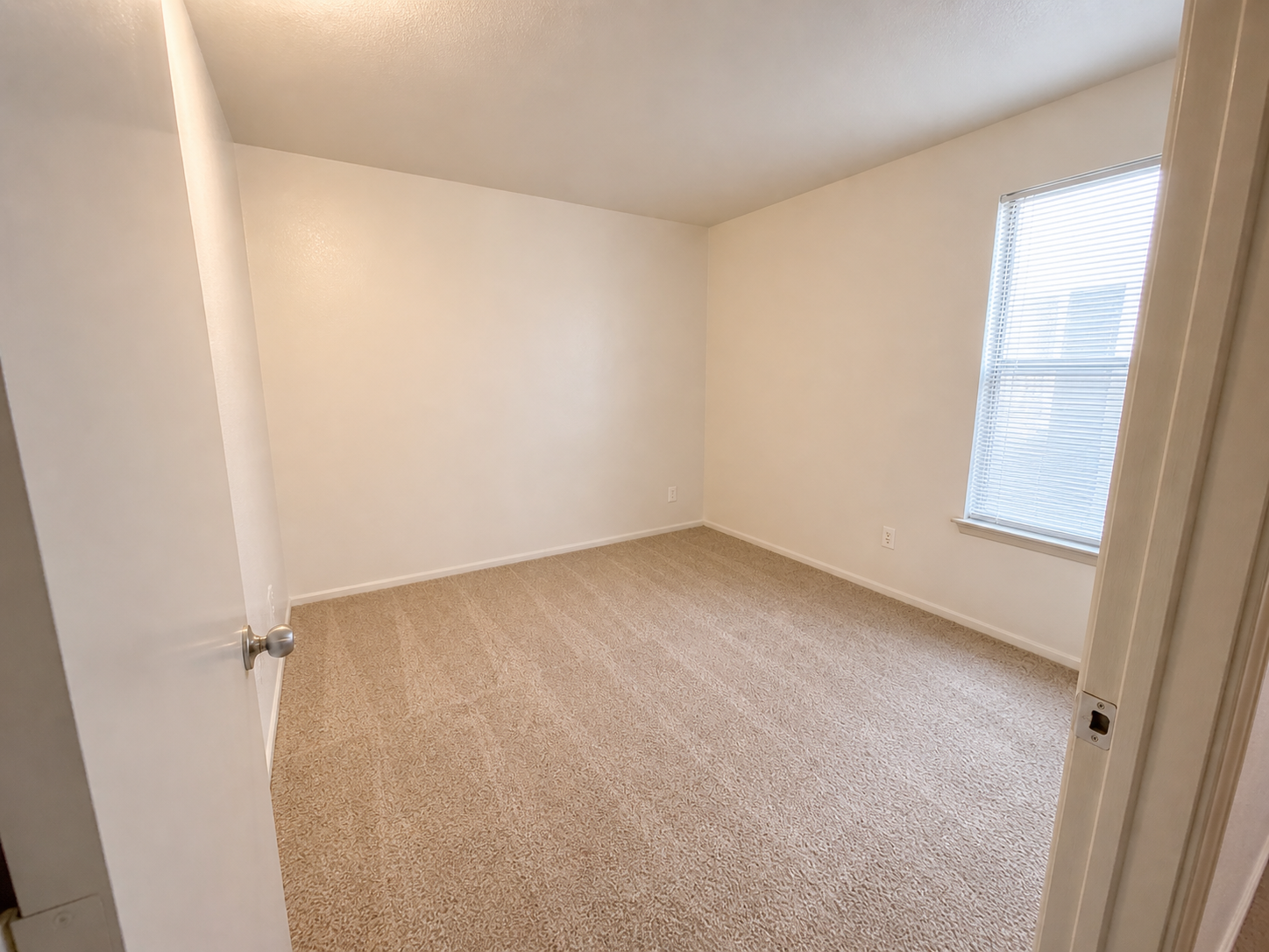 A softly lit empty room with beige carpet and white walls. There is a single window with blinds allowing natural light to enter, and a closed door partially visible on the left. The space is unadorned, creating a minimalist and clean atmosphere.