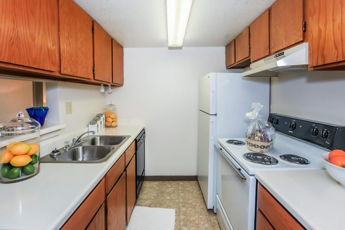 a kitchen with a stove sink and refrigerator