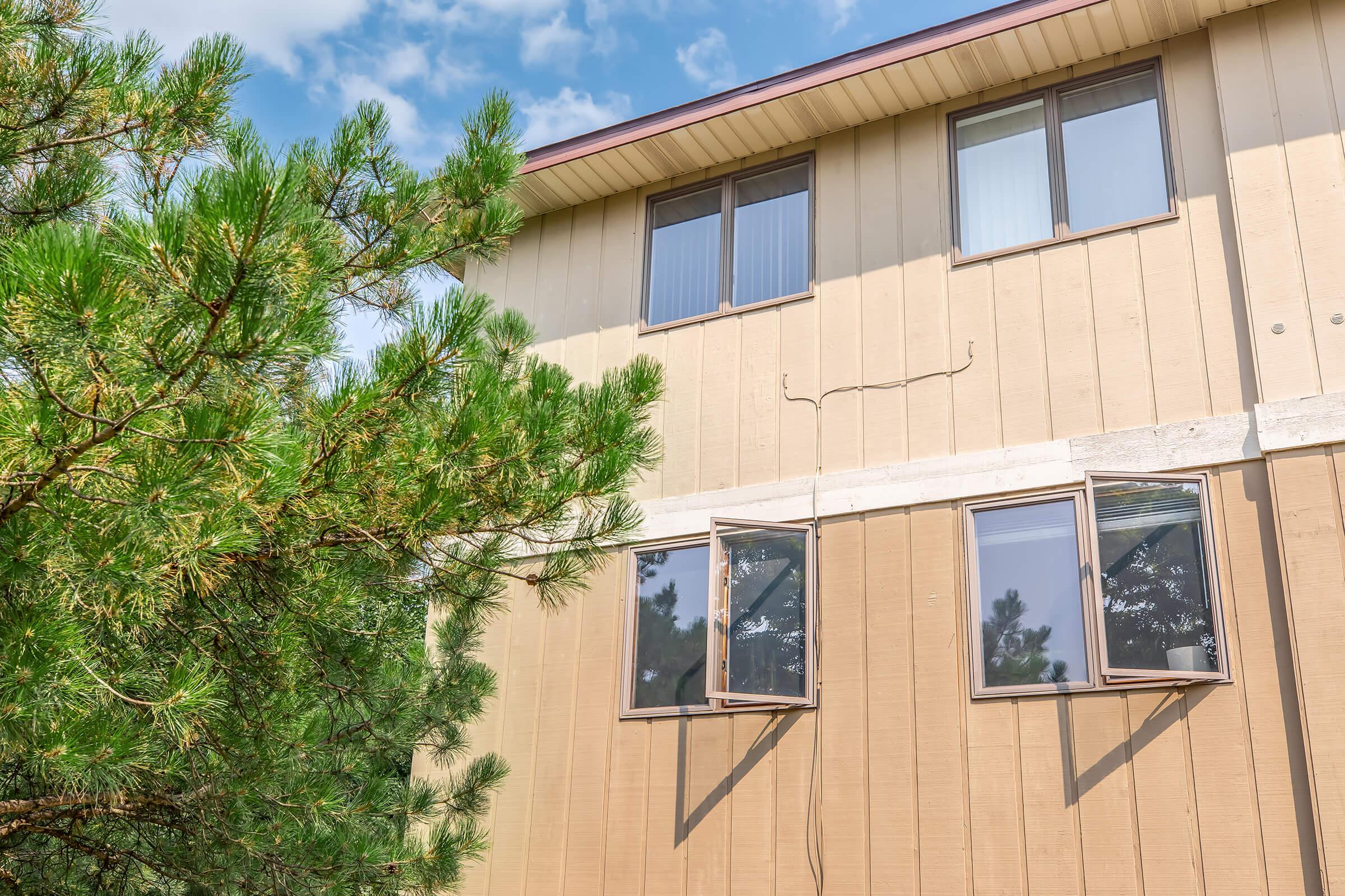 A close-up view of a building's upper story featuring two open windows. The structure has a light brown exterior with vertical paneling, framed by green pine branches in the foreground. The sky above is partly cloudy, adding a bright atmosphere to the scene.