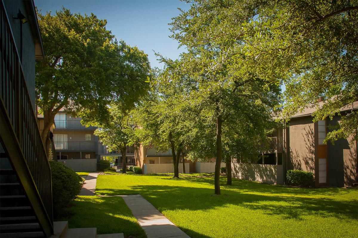 community buildings with green trees