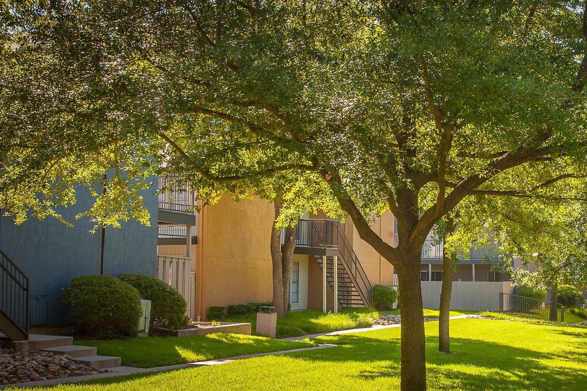 green trees in front of the community building