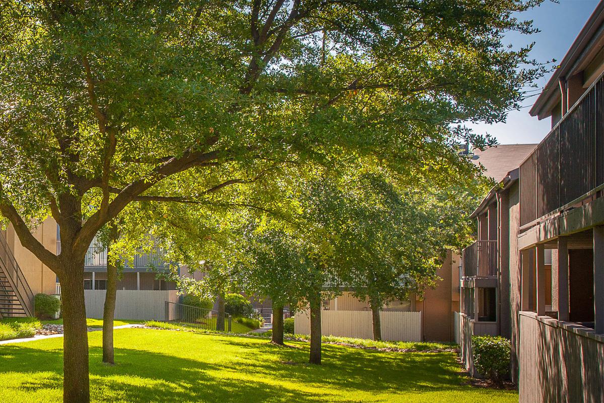 community buildings with green trees and grass